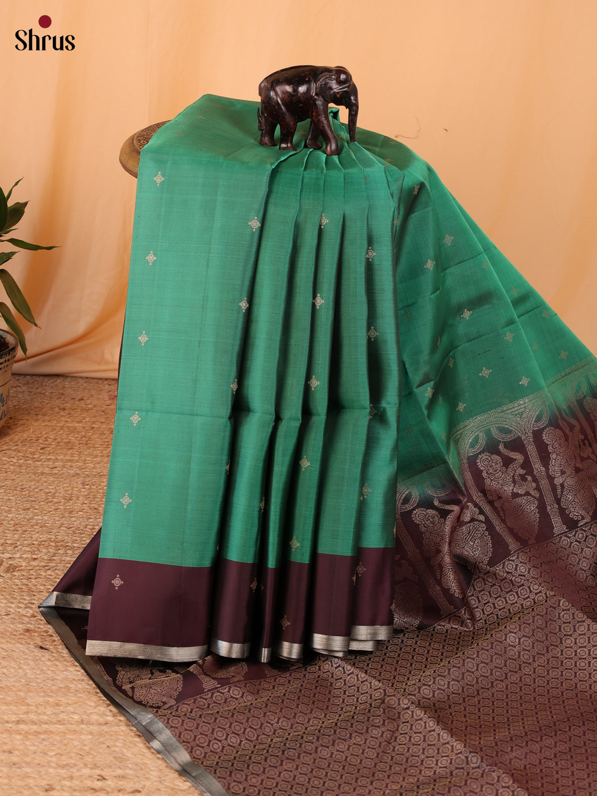 Green & Brown - Soft Silk Saree - Shop on Shrus.com