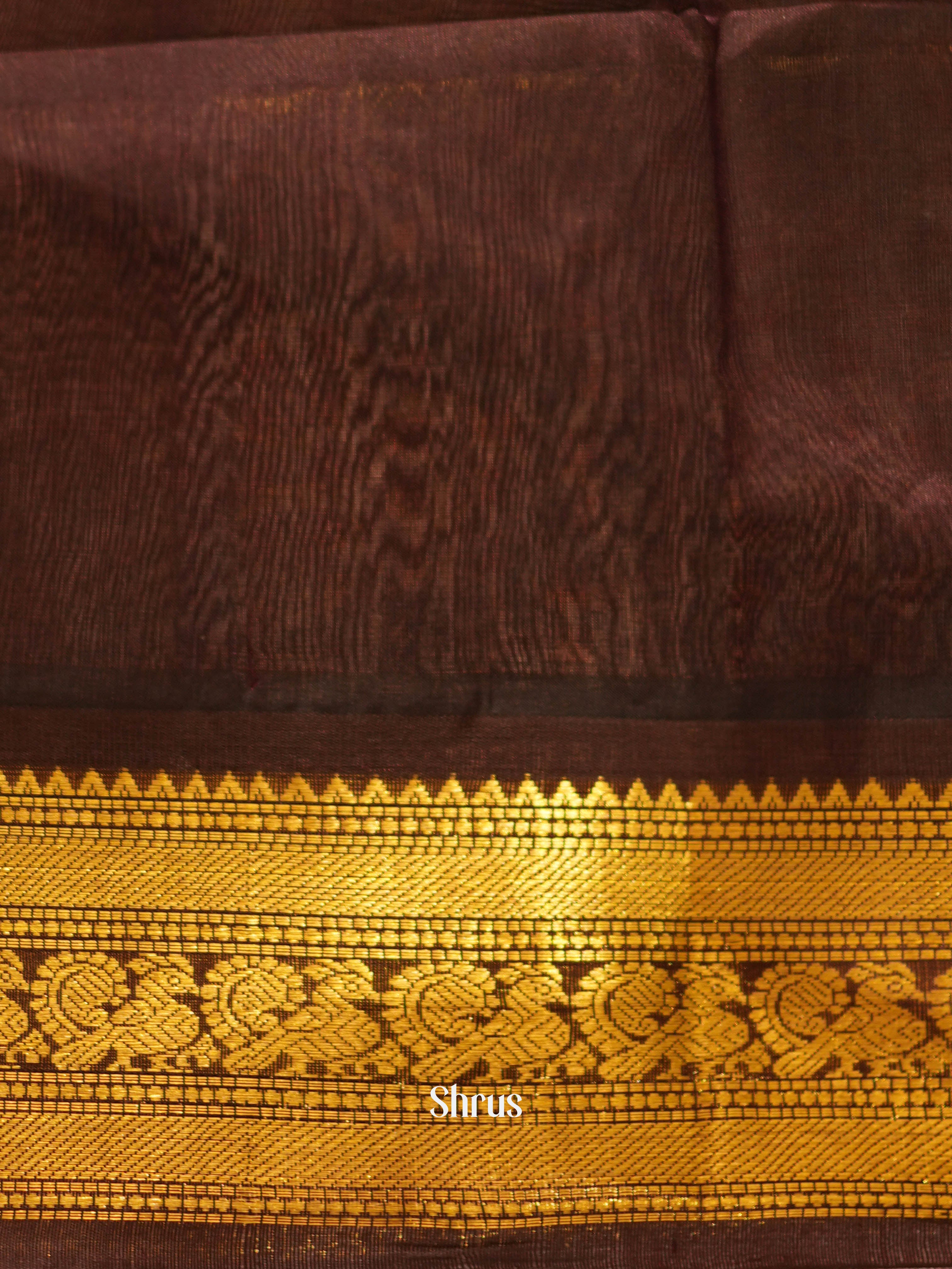 Beige & Brown - Silk Cotton Saree - Shop on ShrusEternity.com
