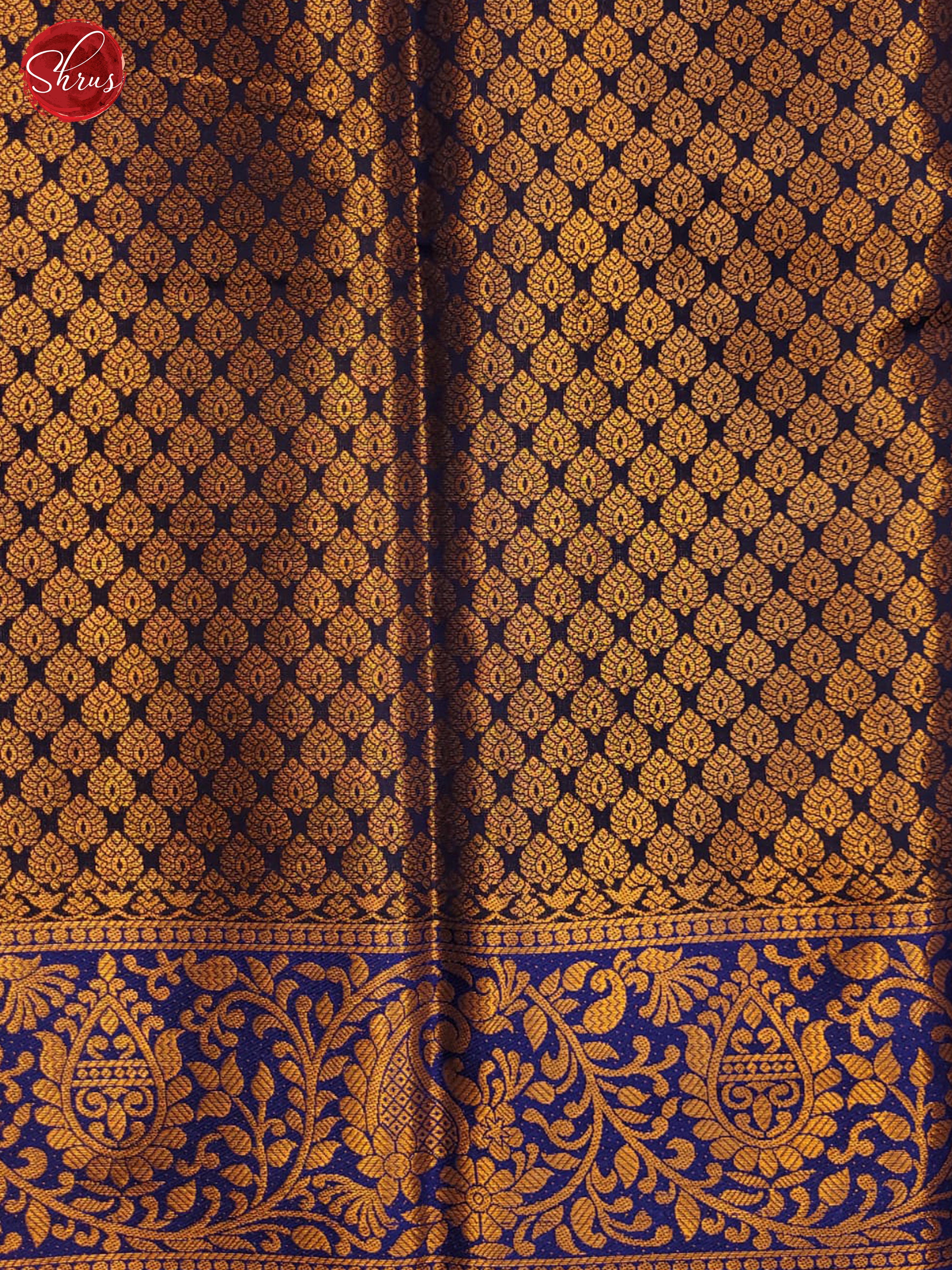 AIS10004 - Kanchi dholaa Saree - Shop on ShrusEternity.com