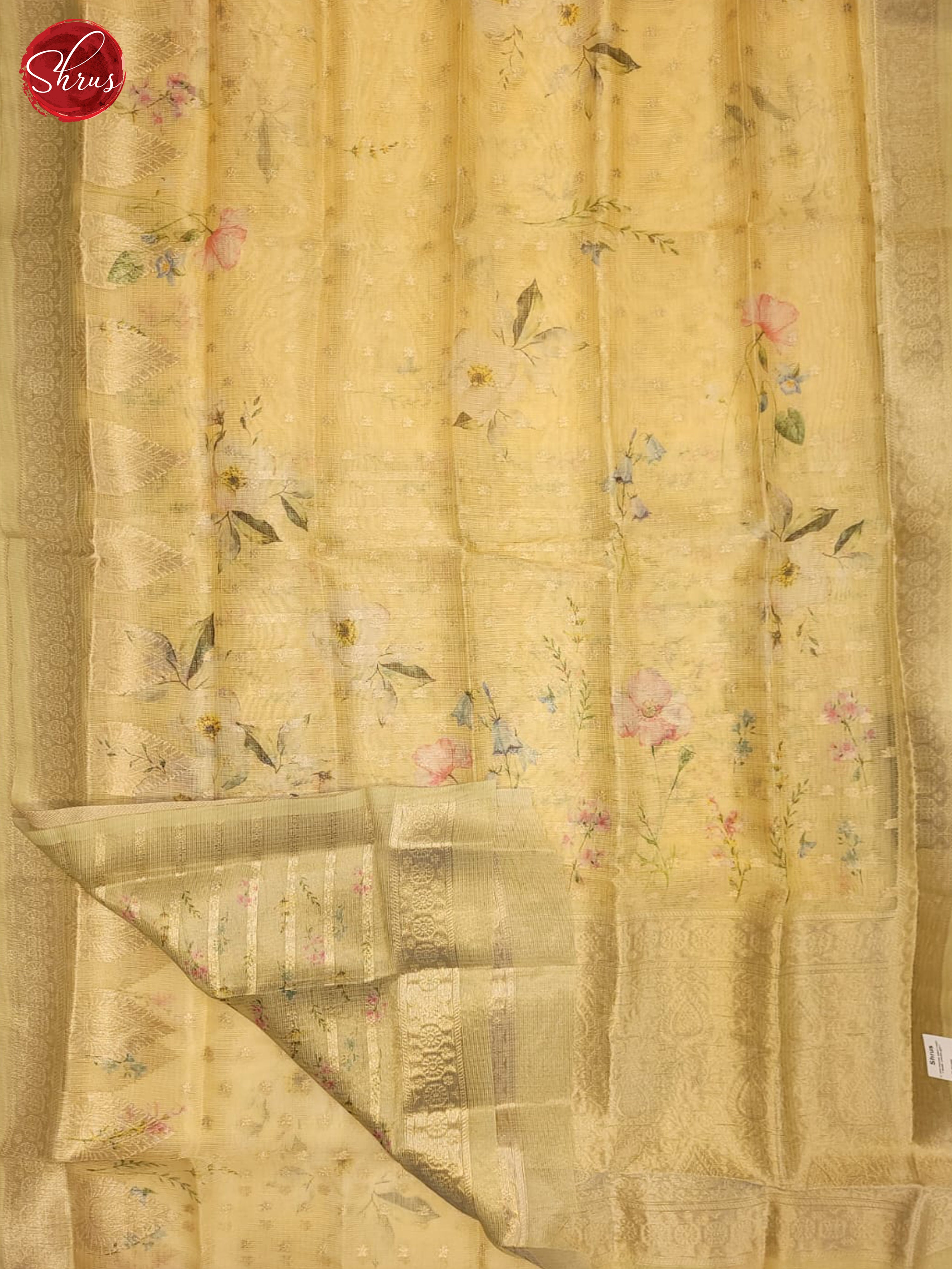 AKS1060 - Tissue banarasi Saree - Shop on ShrusEternity.com