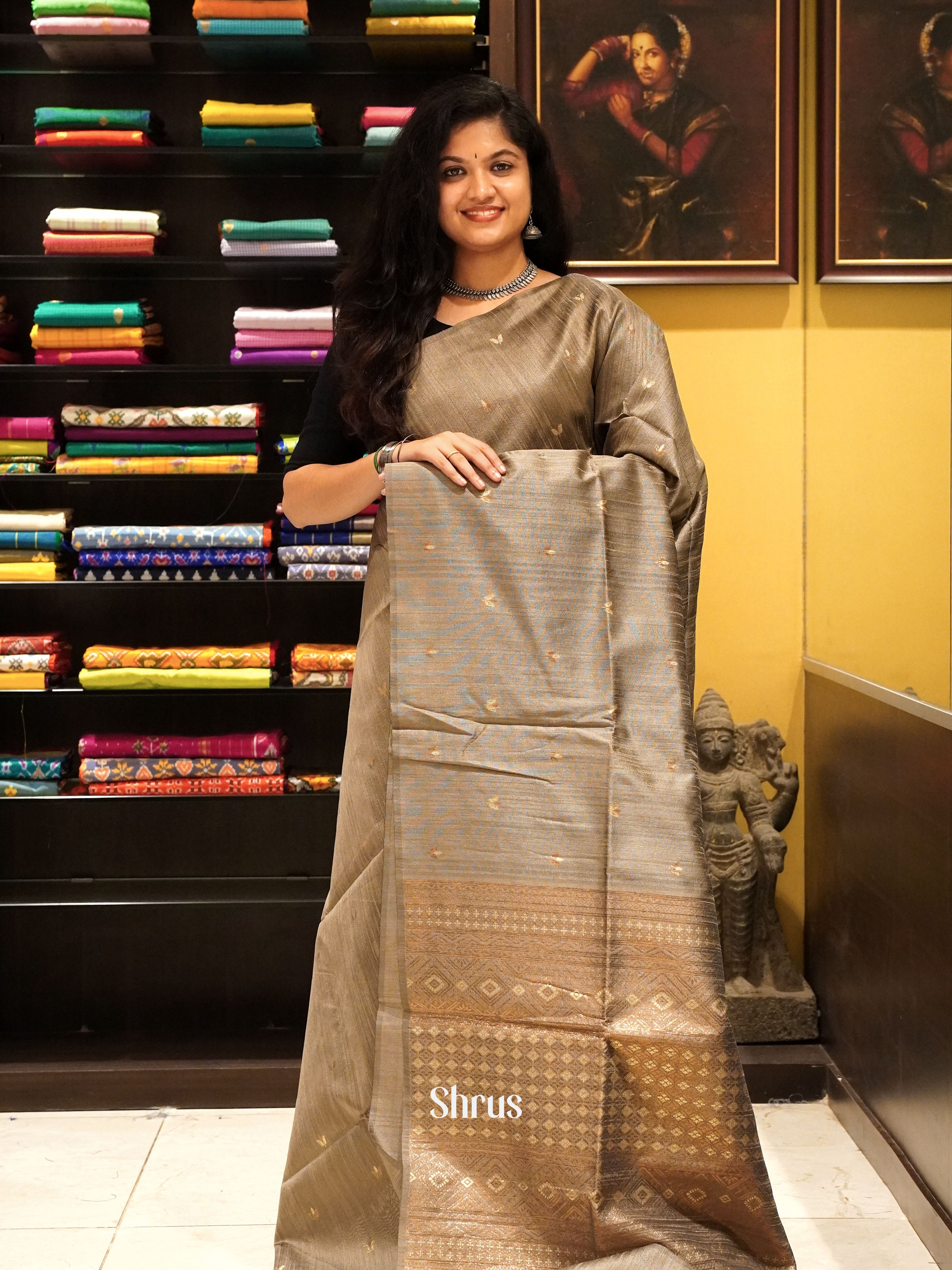 Grey(Single Tone) - Semi Rawsilk Saree - Shop on ShrusEternity.com