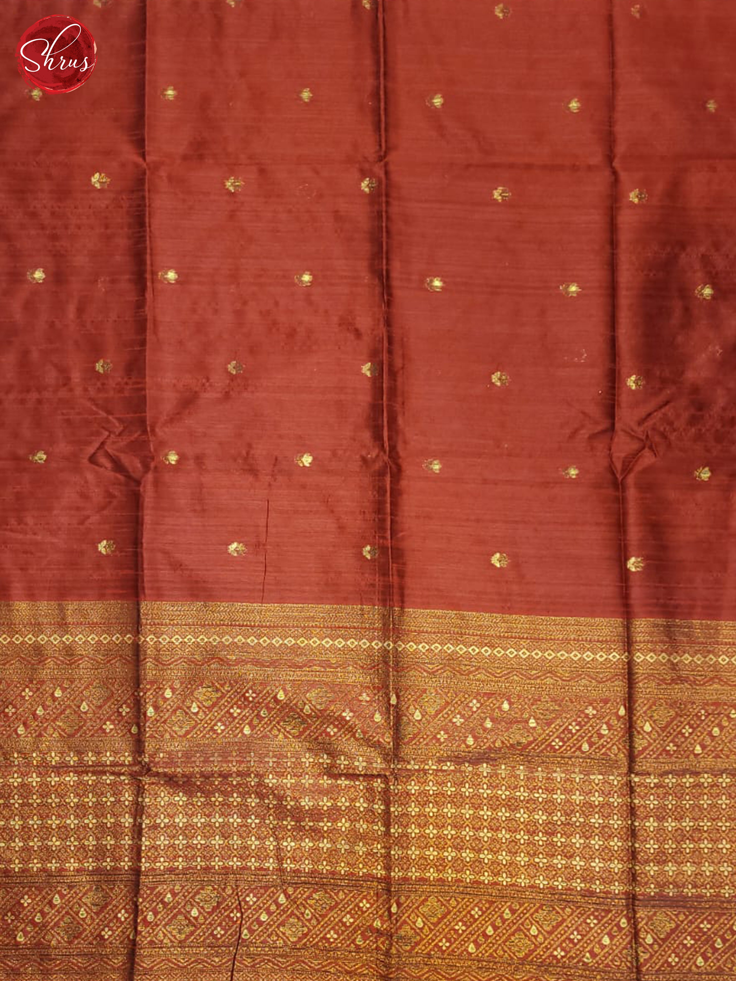 BDS19031 - Semi Raw Silk Saree - Shop on ShrusEternity.com