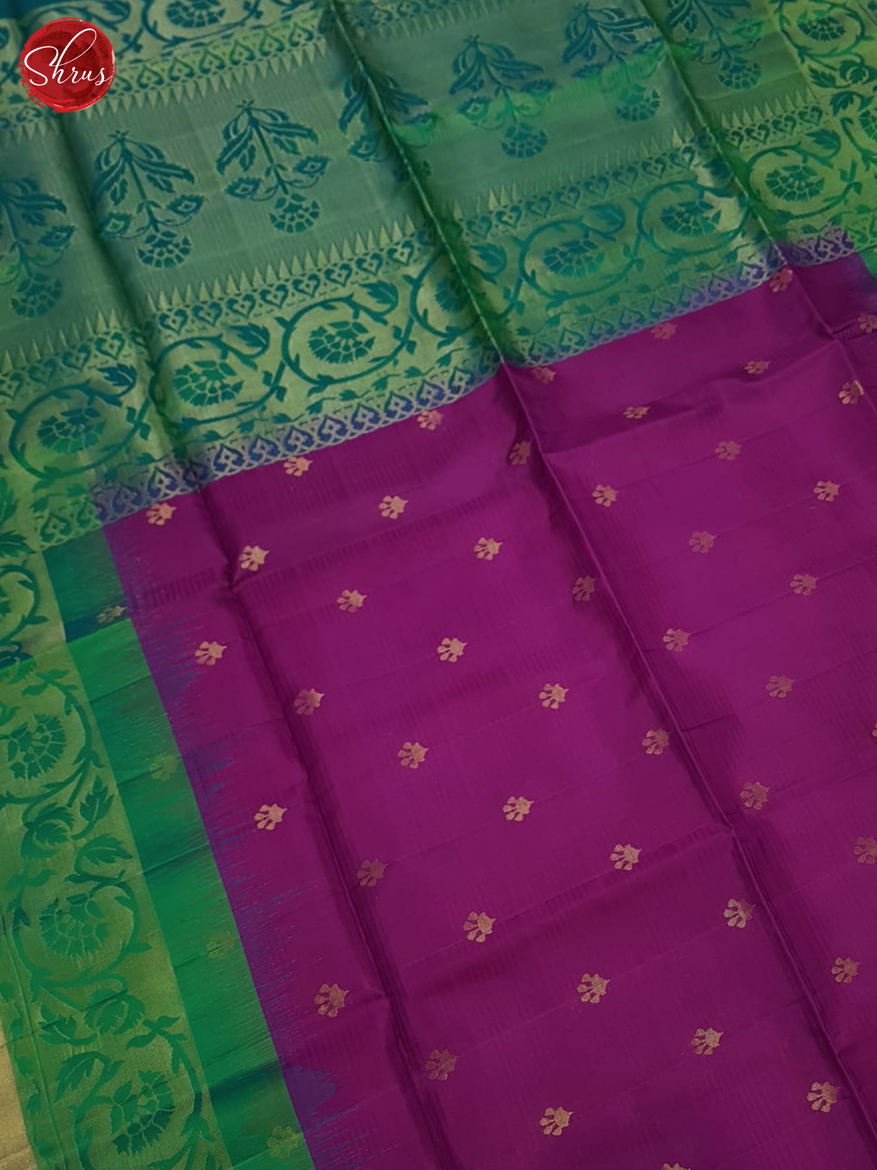 Rani Pink & Green- Soft Silk Saree-5