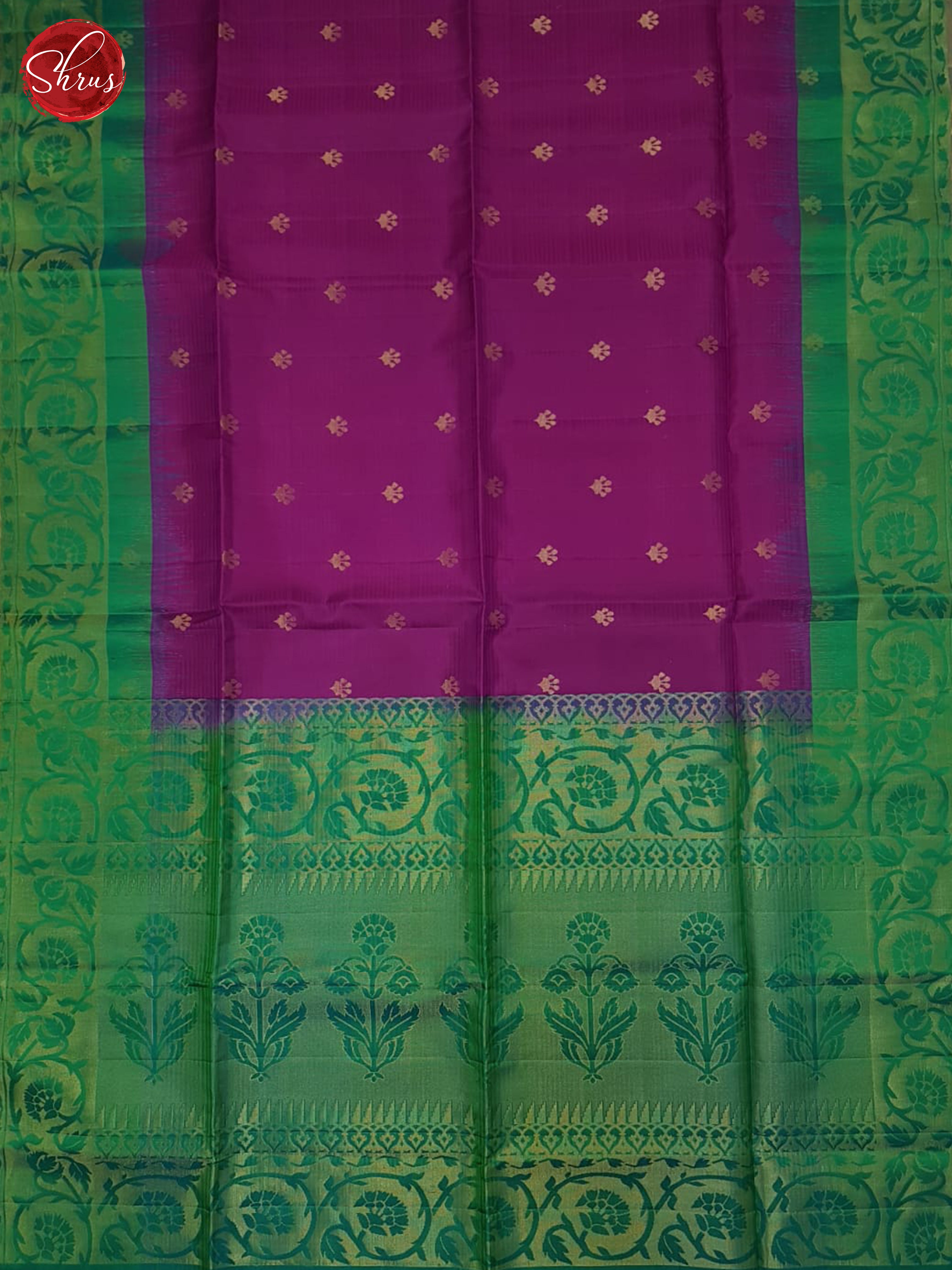Rani Pink & Green- Soft Silk Saree-3