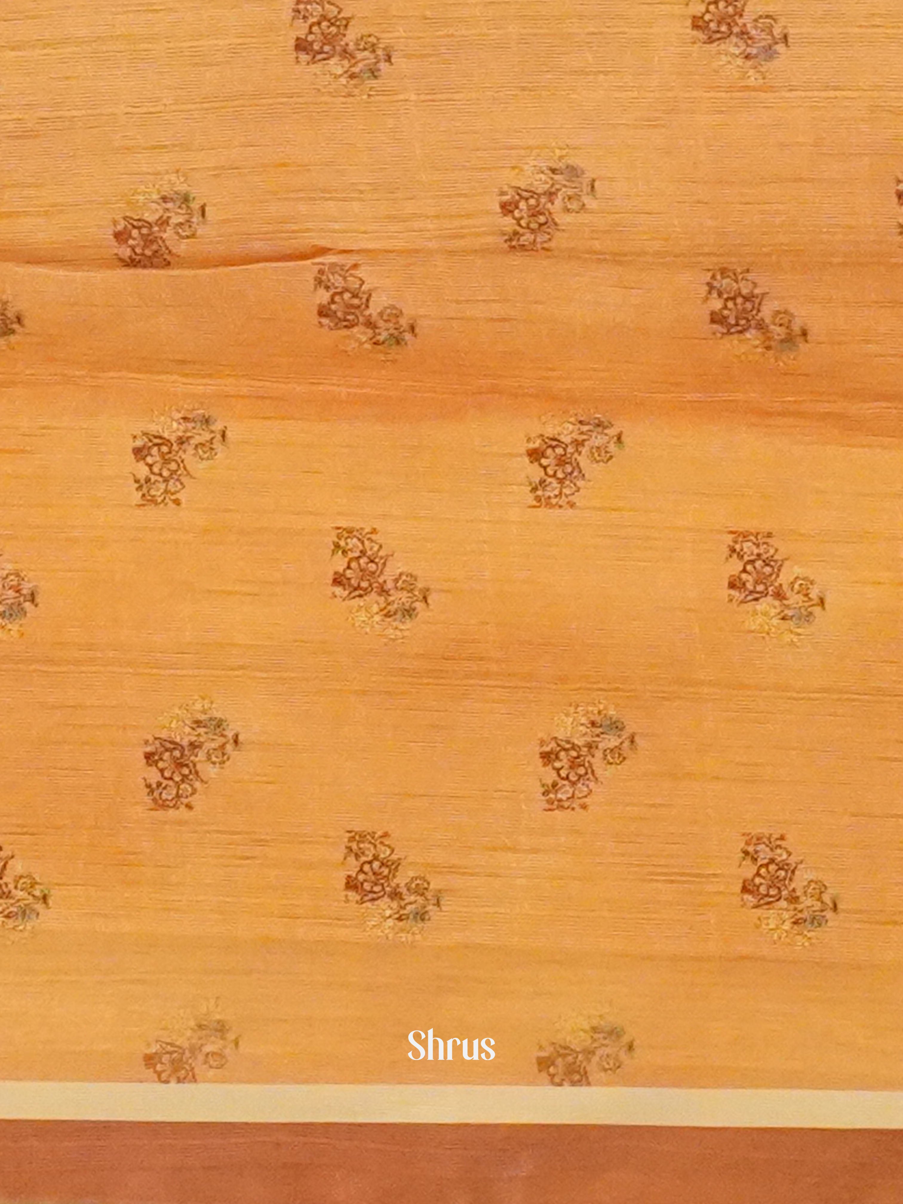 Light Brown & Brown - Semi Organza Saree - Shop on ShrusEternity.com