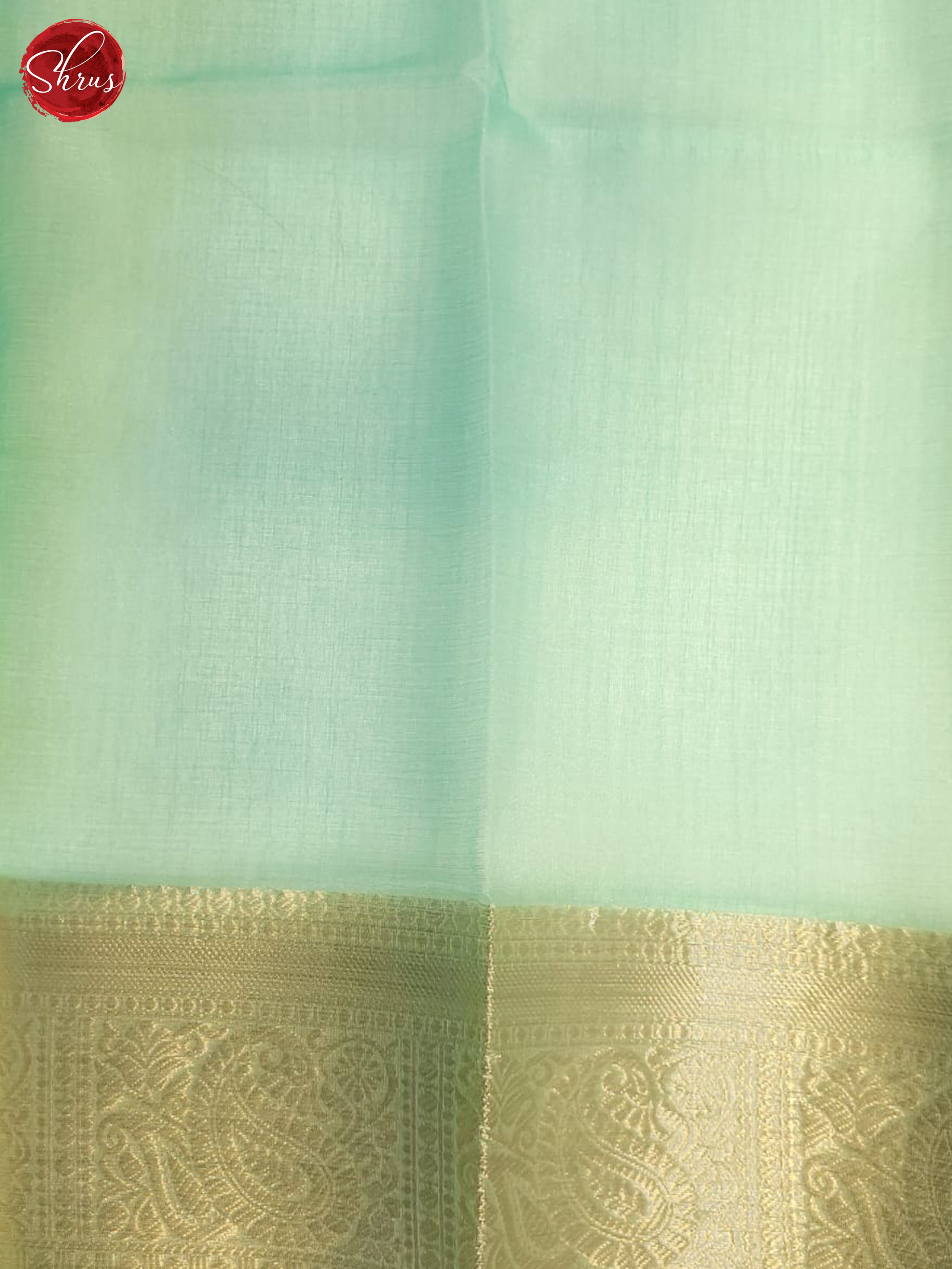 Blue & Aqua Green - Semi Organza Saree - Shop on ShrusEternity.com