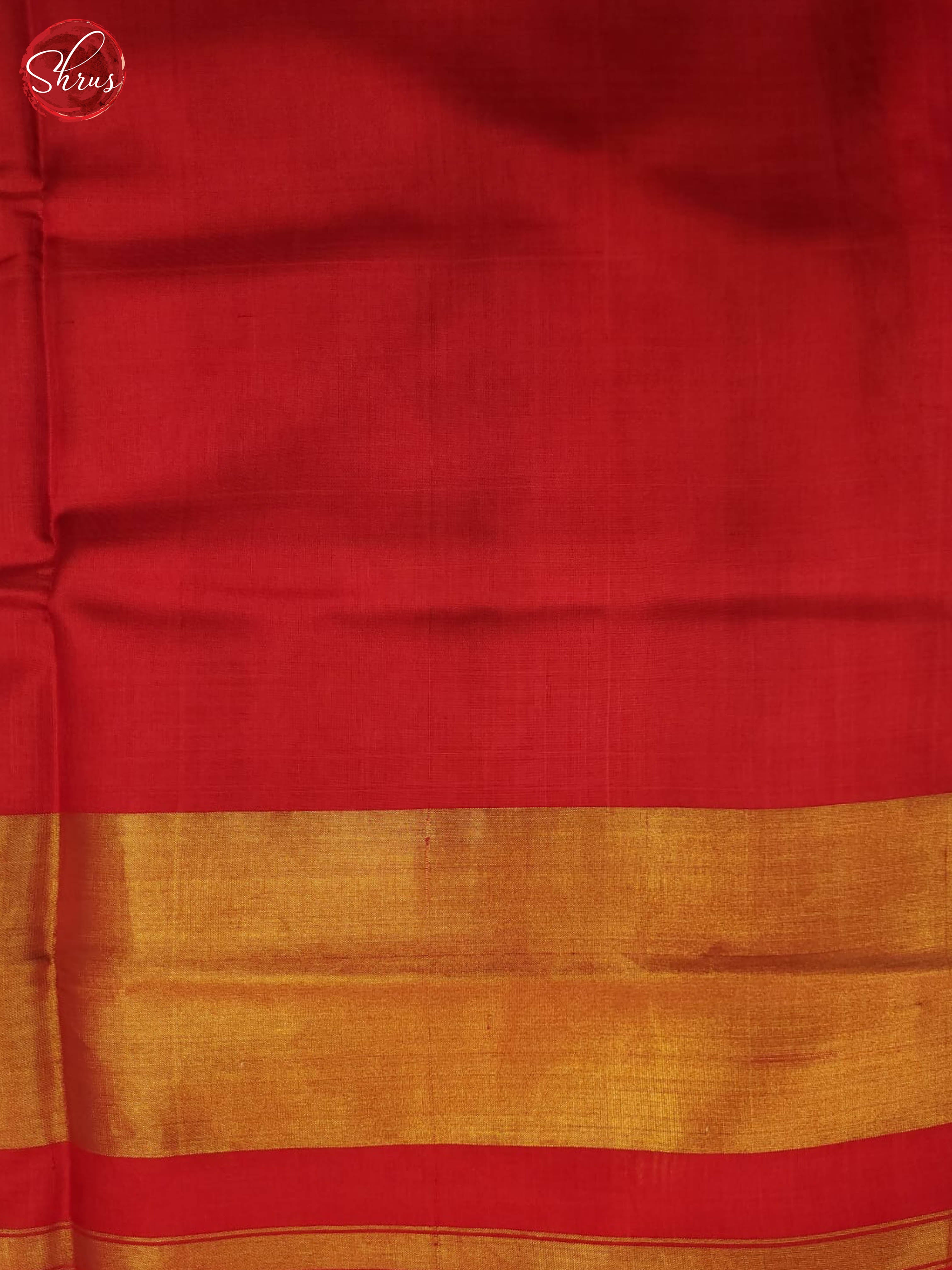 Blue and Red- Ikkat Silk Saree - Shop on ShrusEternity.com