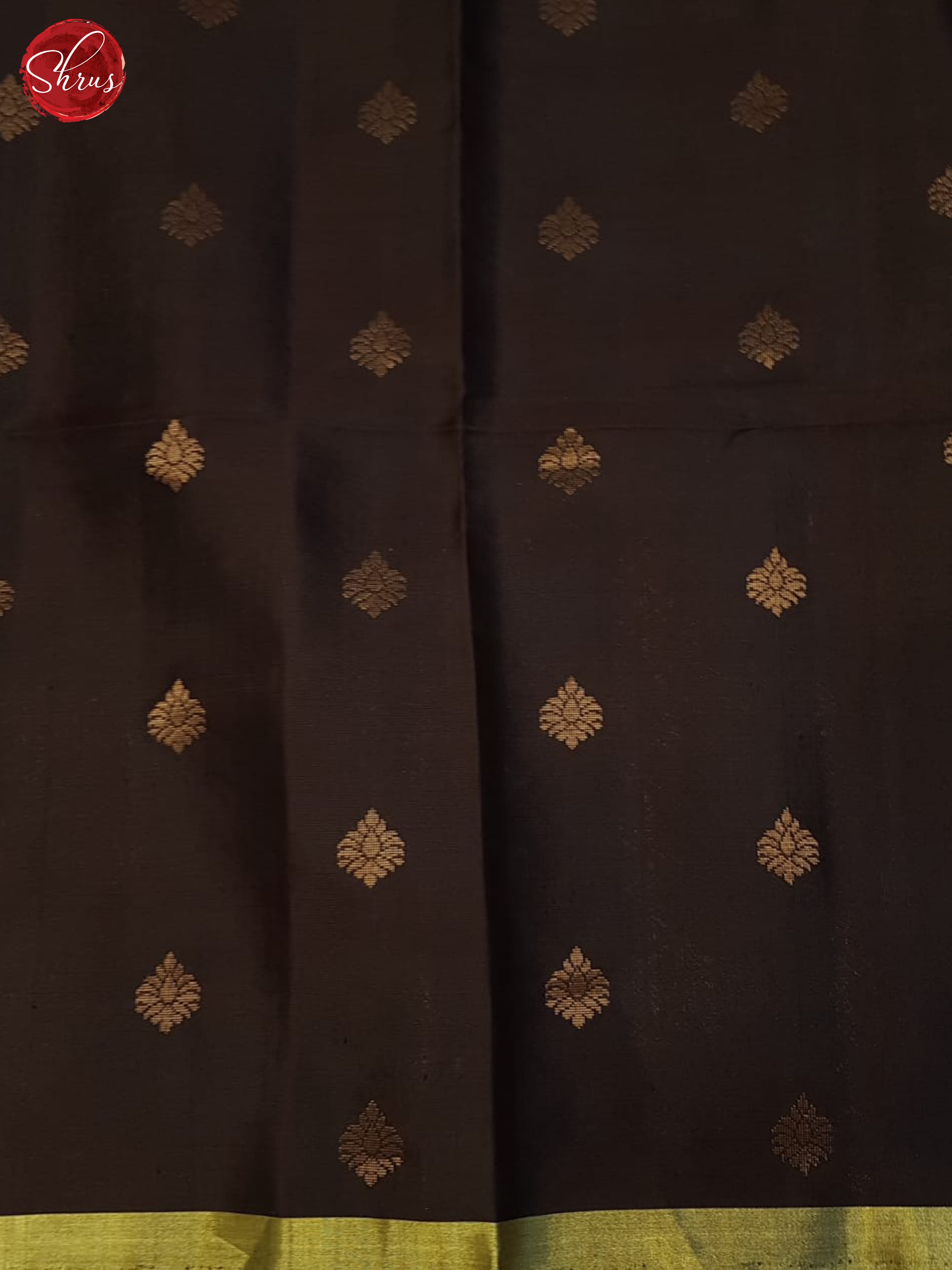 Cream & Brown - Softsilk-halfpure saree - Shop on ShrusEternity.com