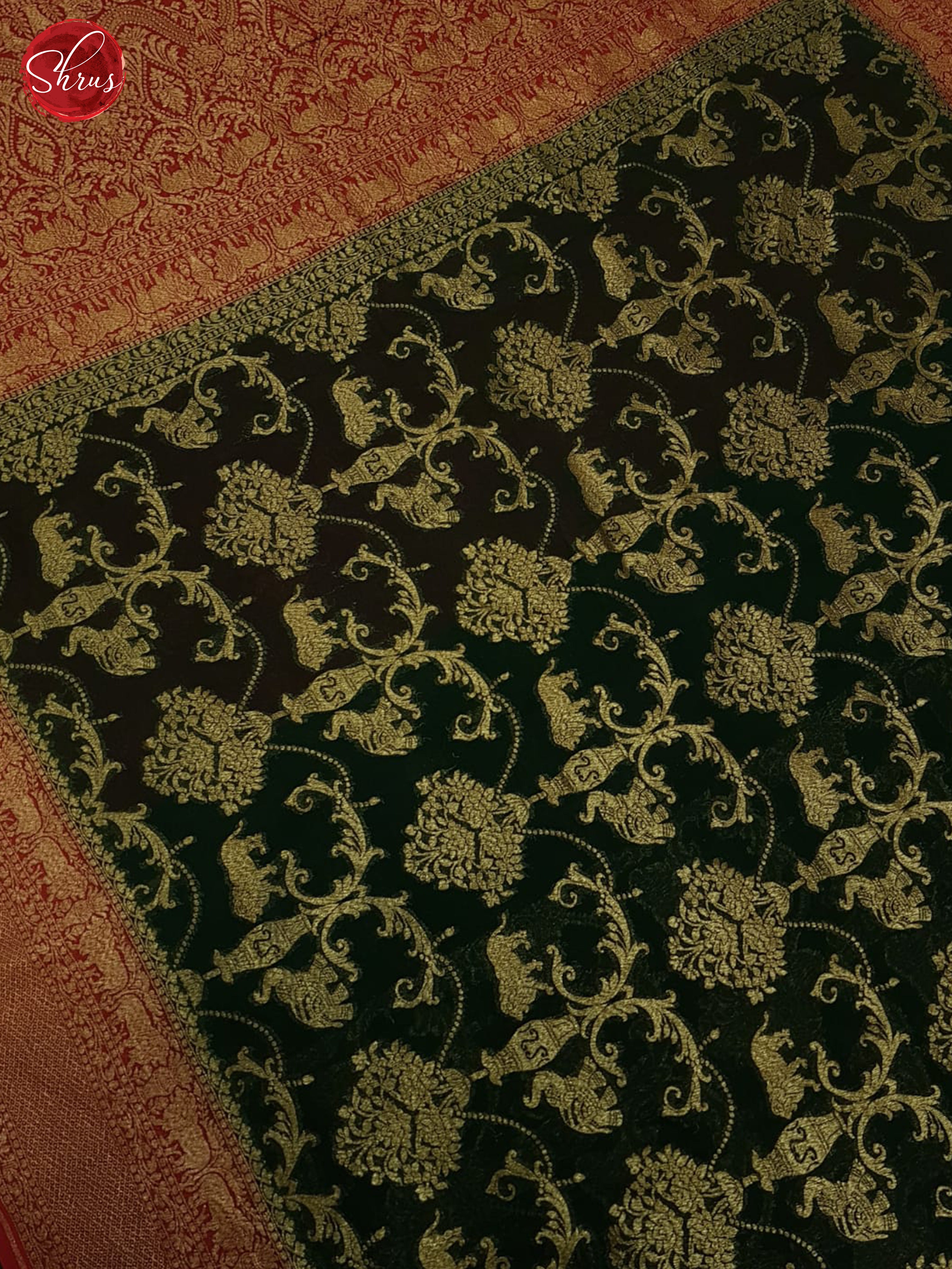 Green And Red- Georgette Silk Saree - Shop on ShrusEternity.com