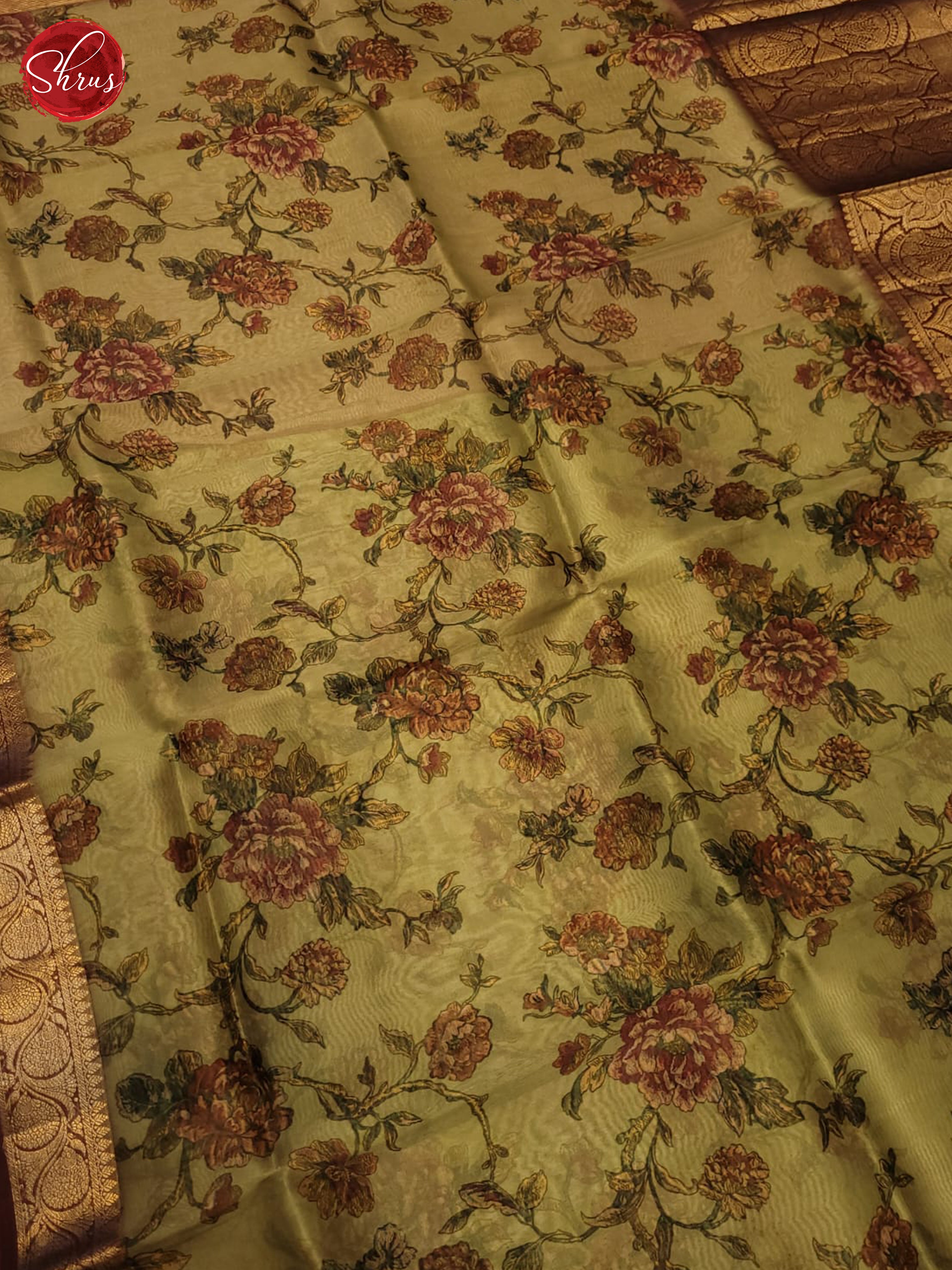 Green and Brown-Organza saree - Shop on ShrusEternity.com