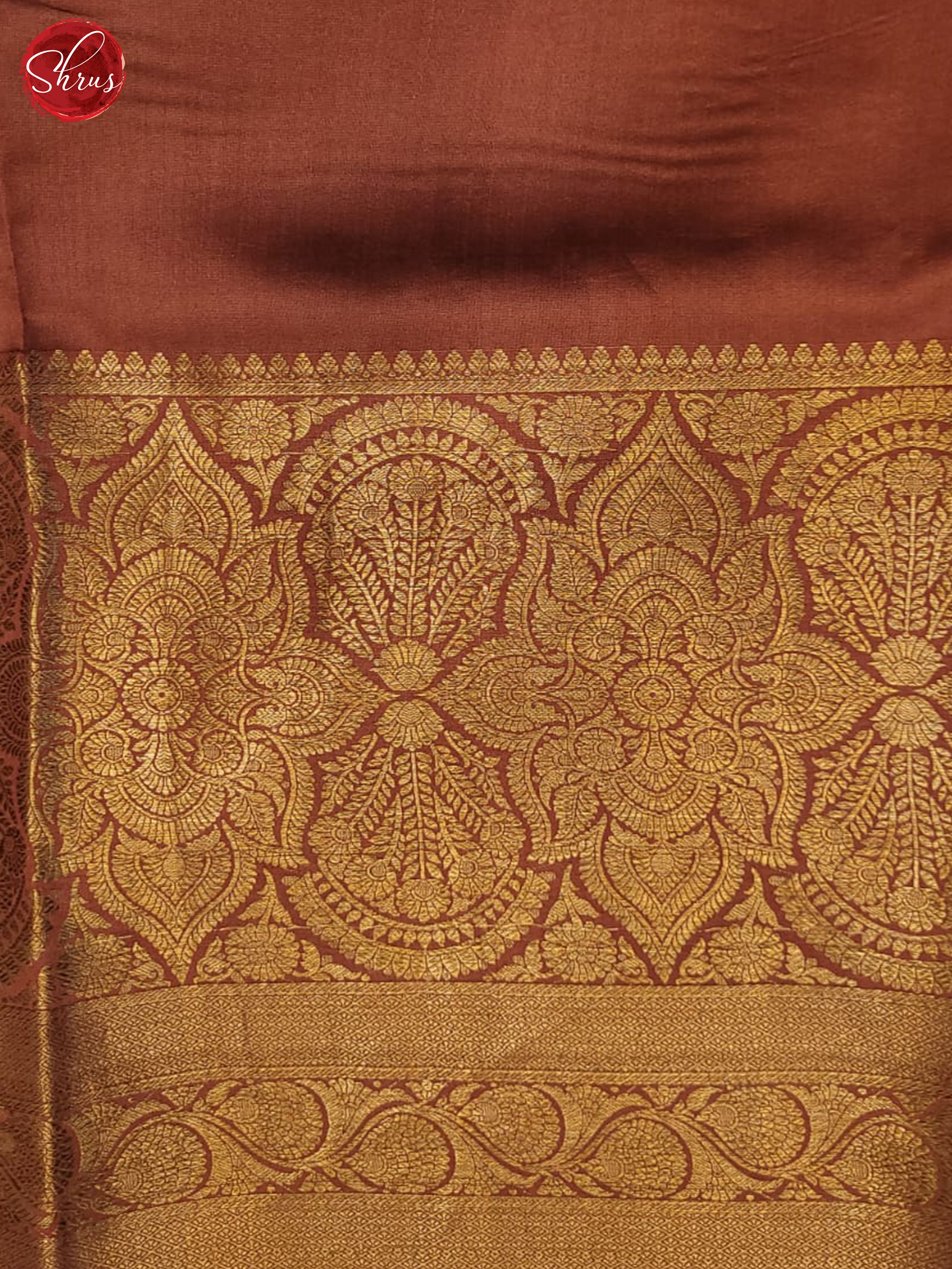 Green and Brown-Organza saree - Shop on ShrusEternity.com