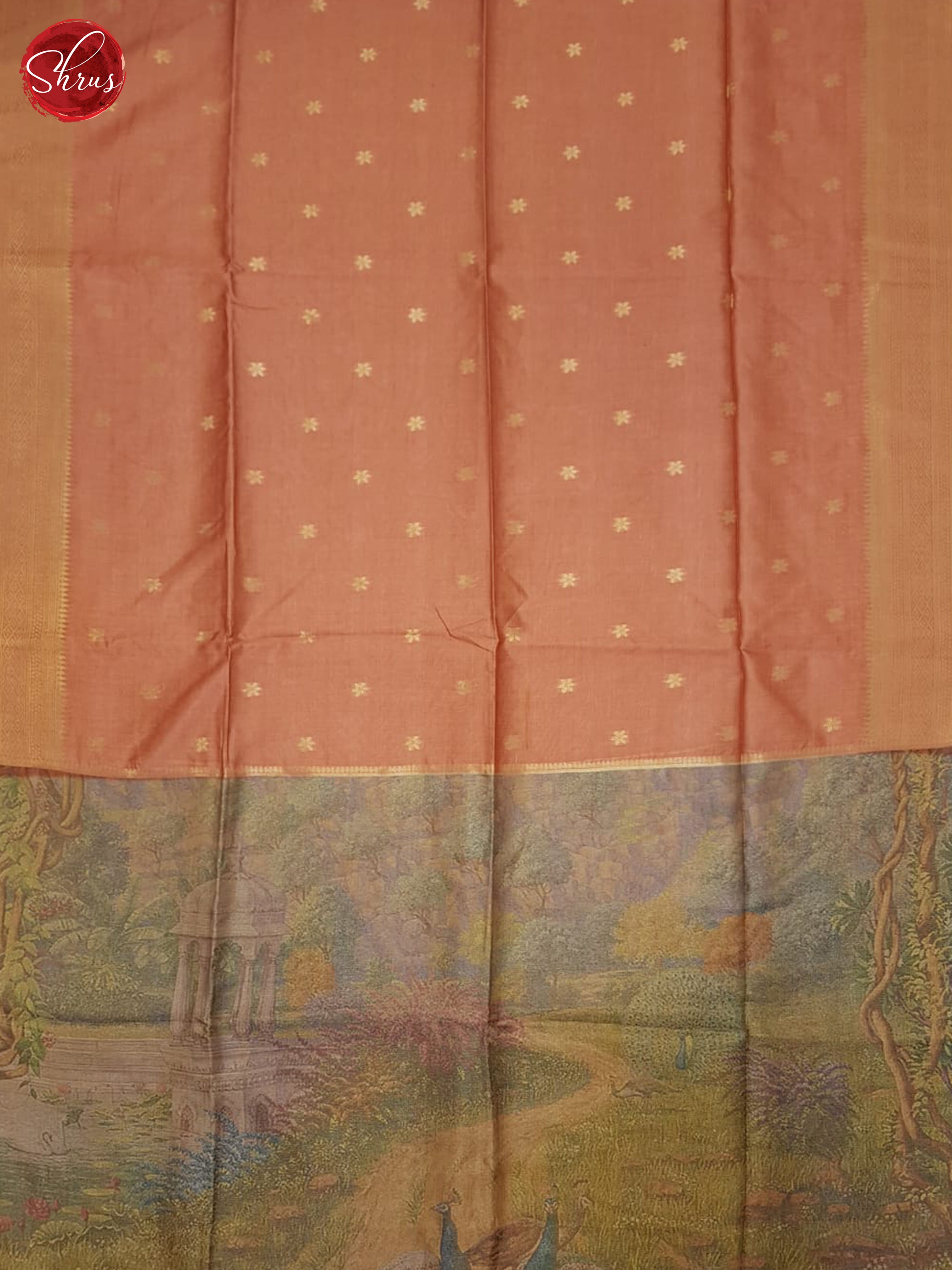 Brick Orange & Grey- Semi Tussar Saree - Shop on ShrusEternity.com
