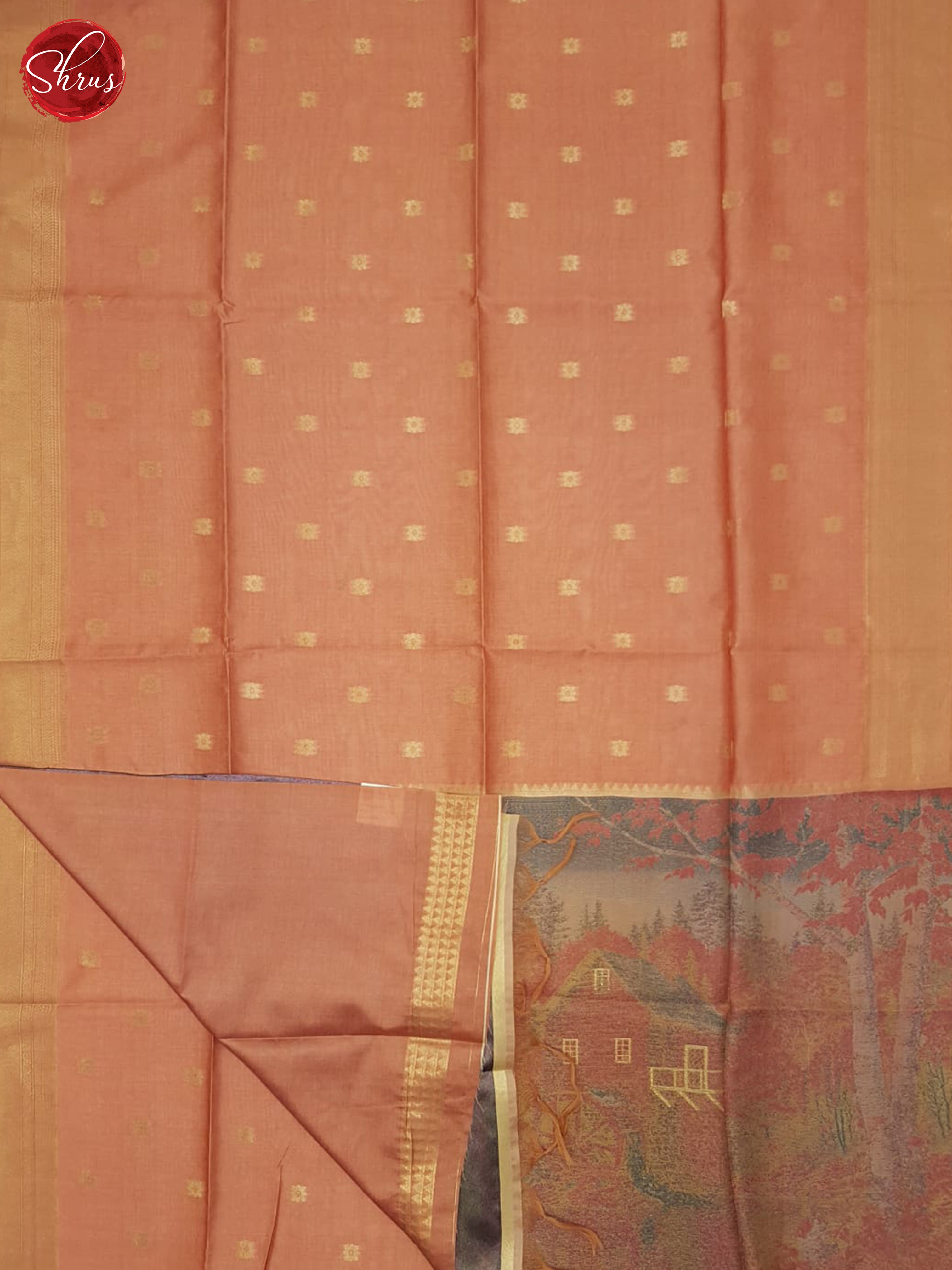 Pale Orange & Grey - Semi Tussar Saree - Shop on ShrusEternity.com