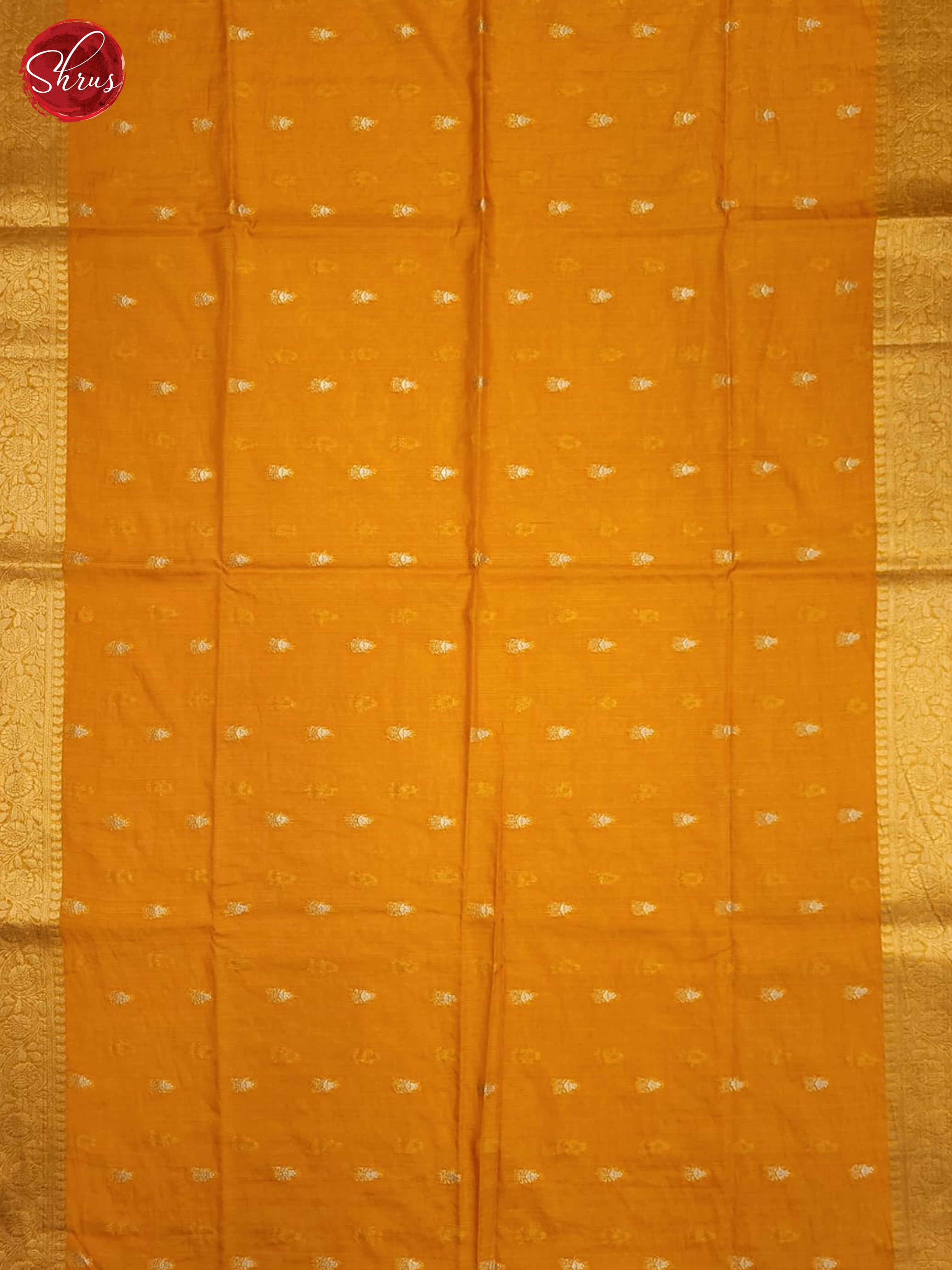 BGS05006 - Semi Tissue Saree - Shop on ShrusEternity.com