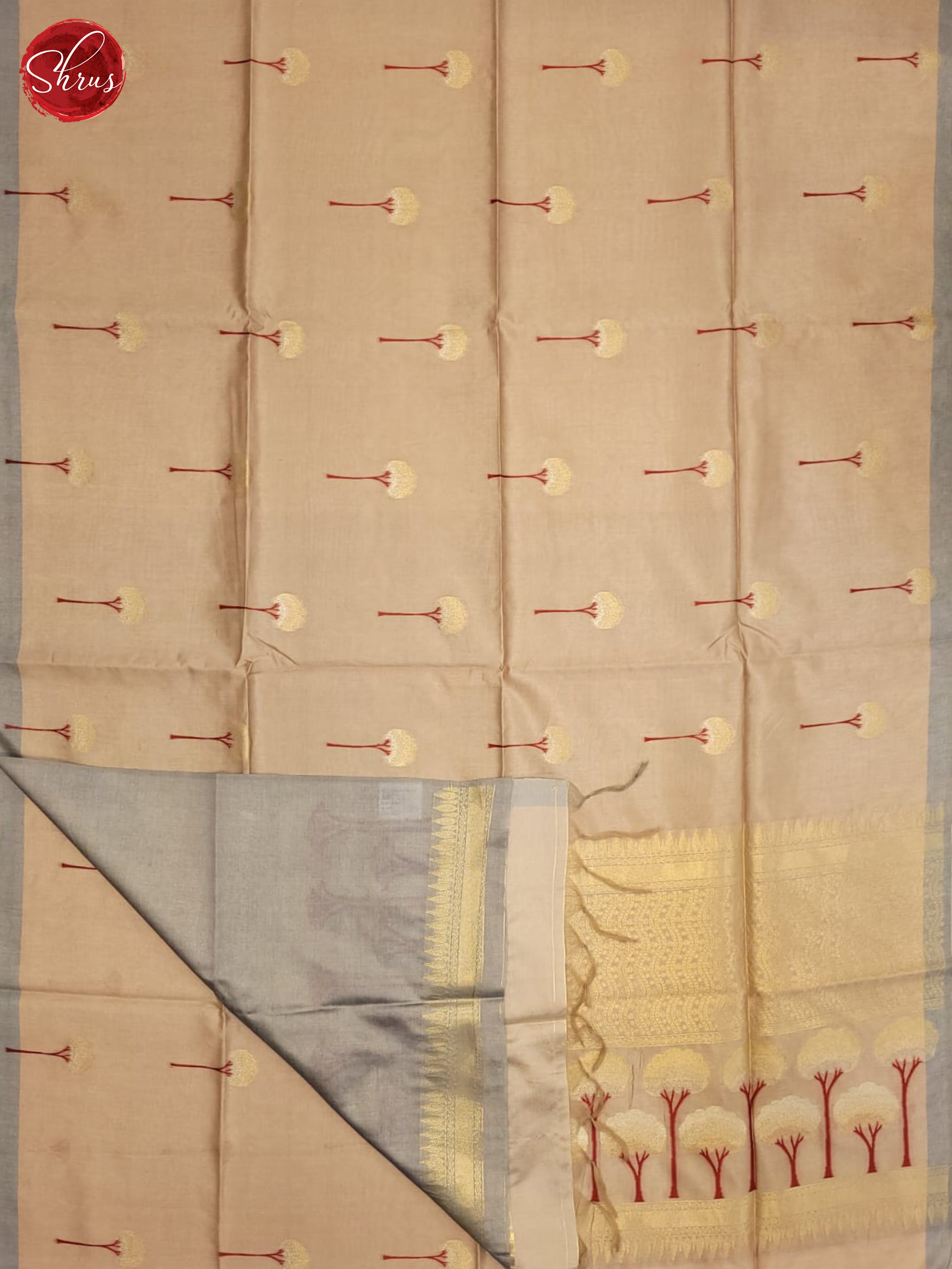 Beige & Grey - Semi tussar Saree - Shop on ShrusEternity.com