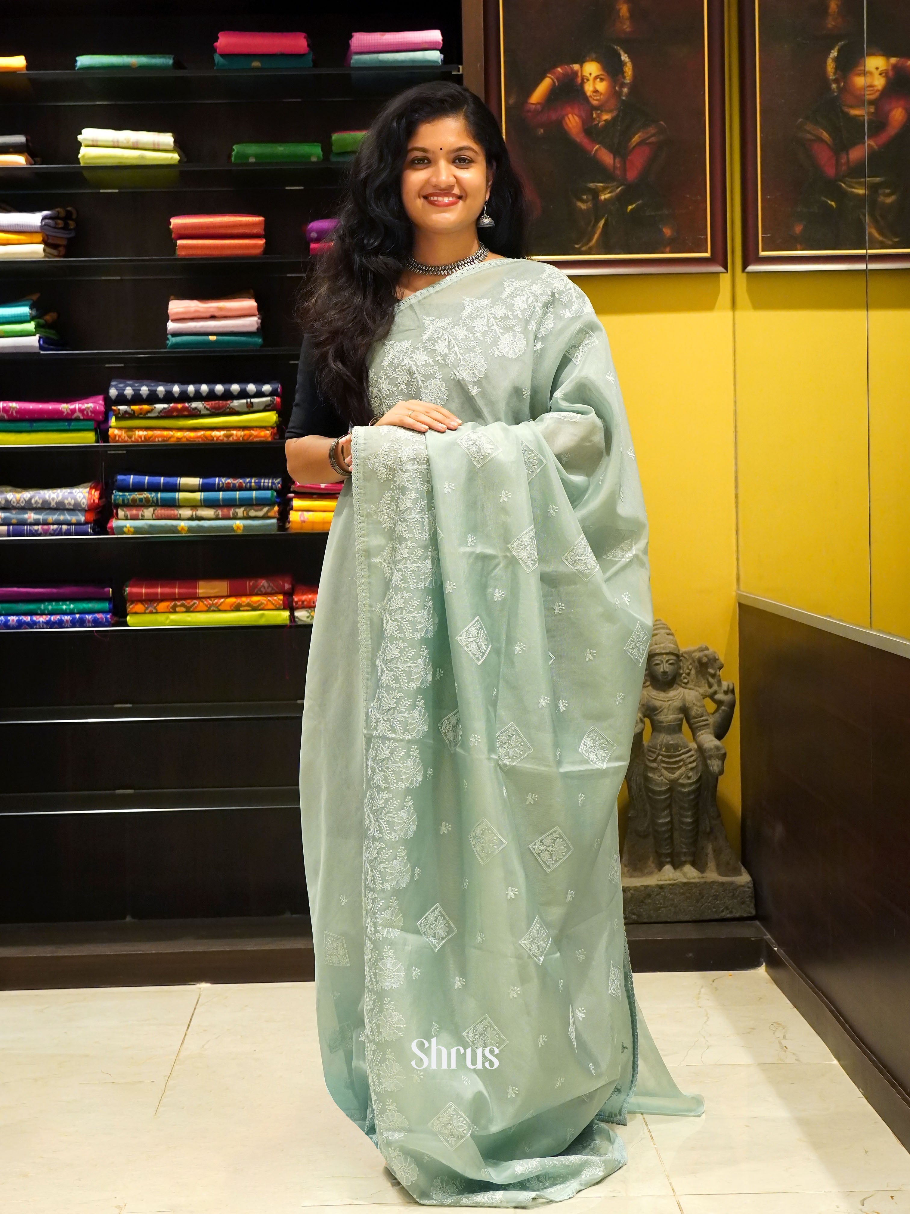 Blue(Single Tone)- Semi organza Saree - Shop on ShrusEternity.com
