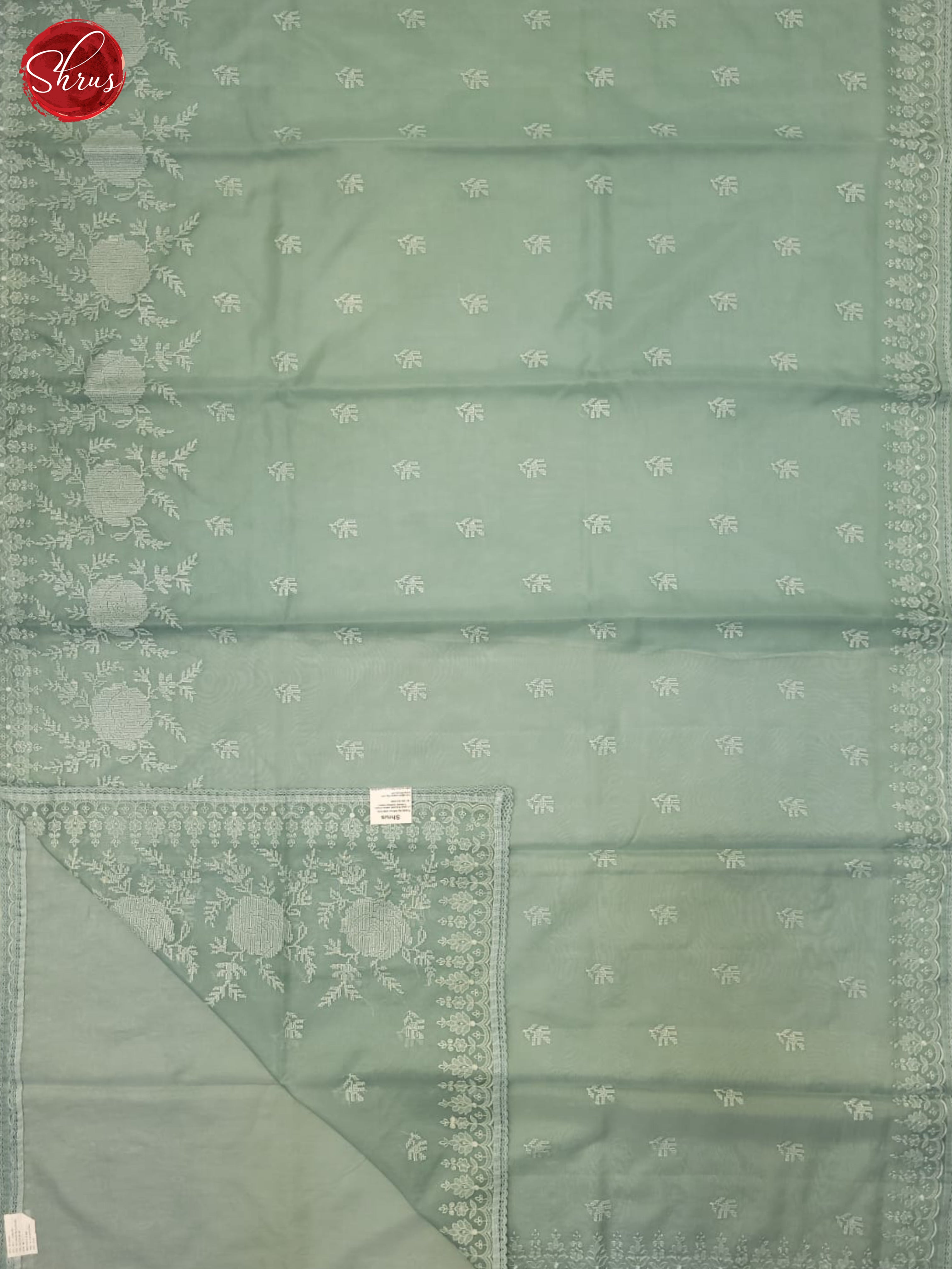 Blue(Single Tone) - Semi organza Saree - Shop on ShrusEternity.com