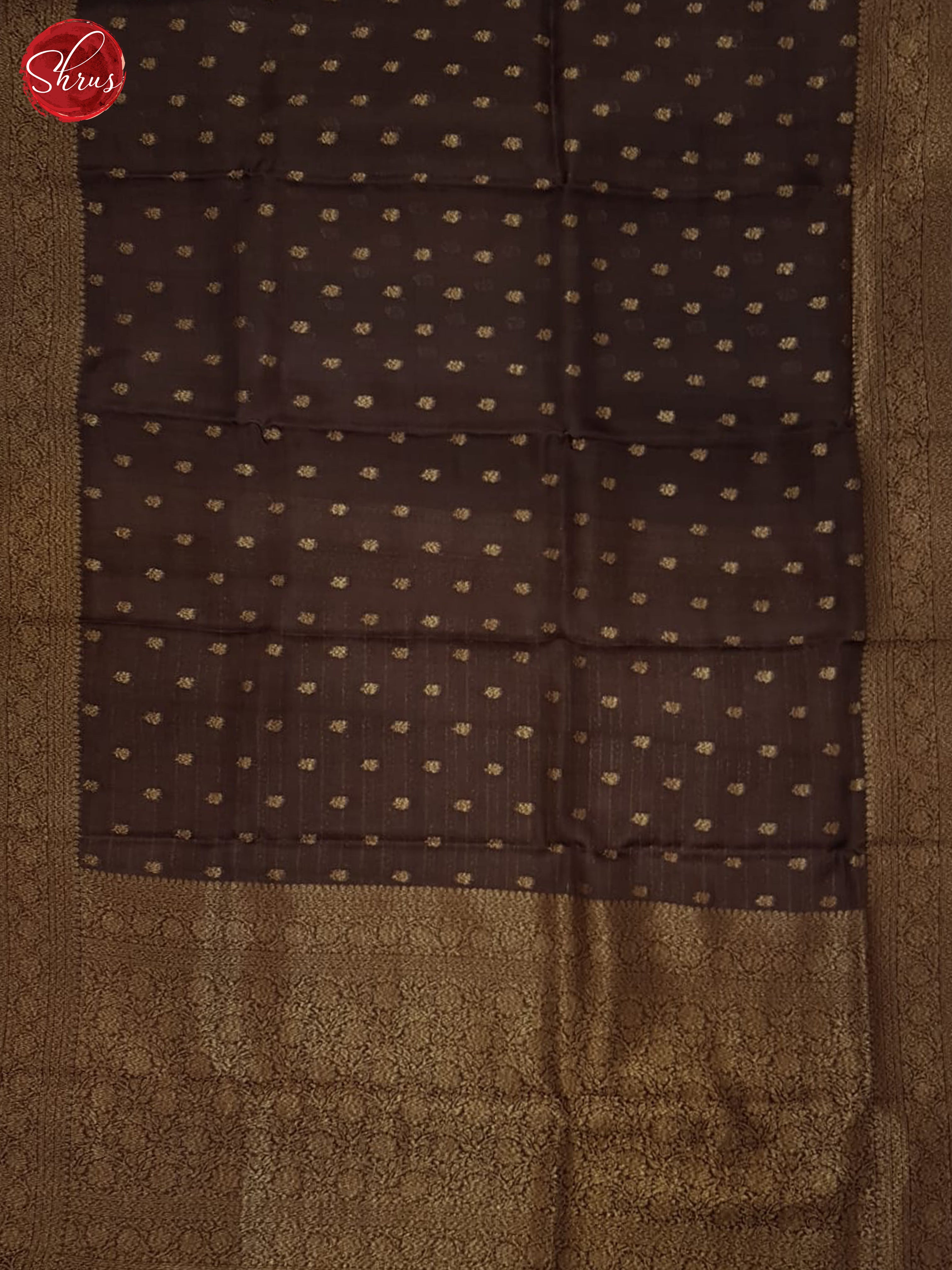 Brown(SIngle Tone) - Organza Saree - Shop on ShrusEternity.com