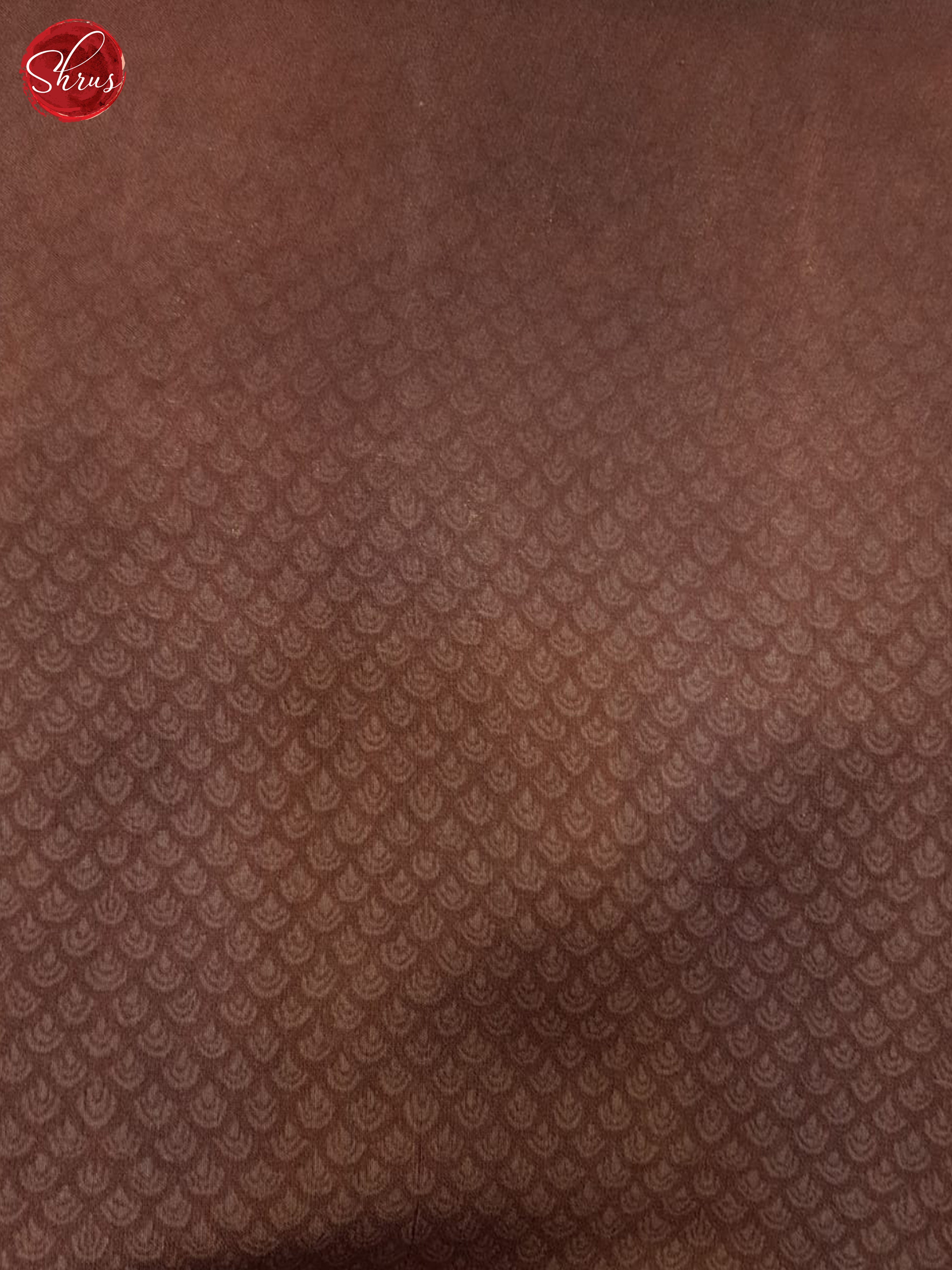 Green & Brown - Organza Saree - Shop on ShrusEternity.com