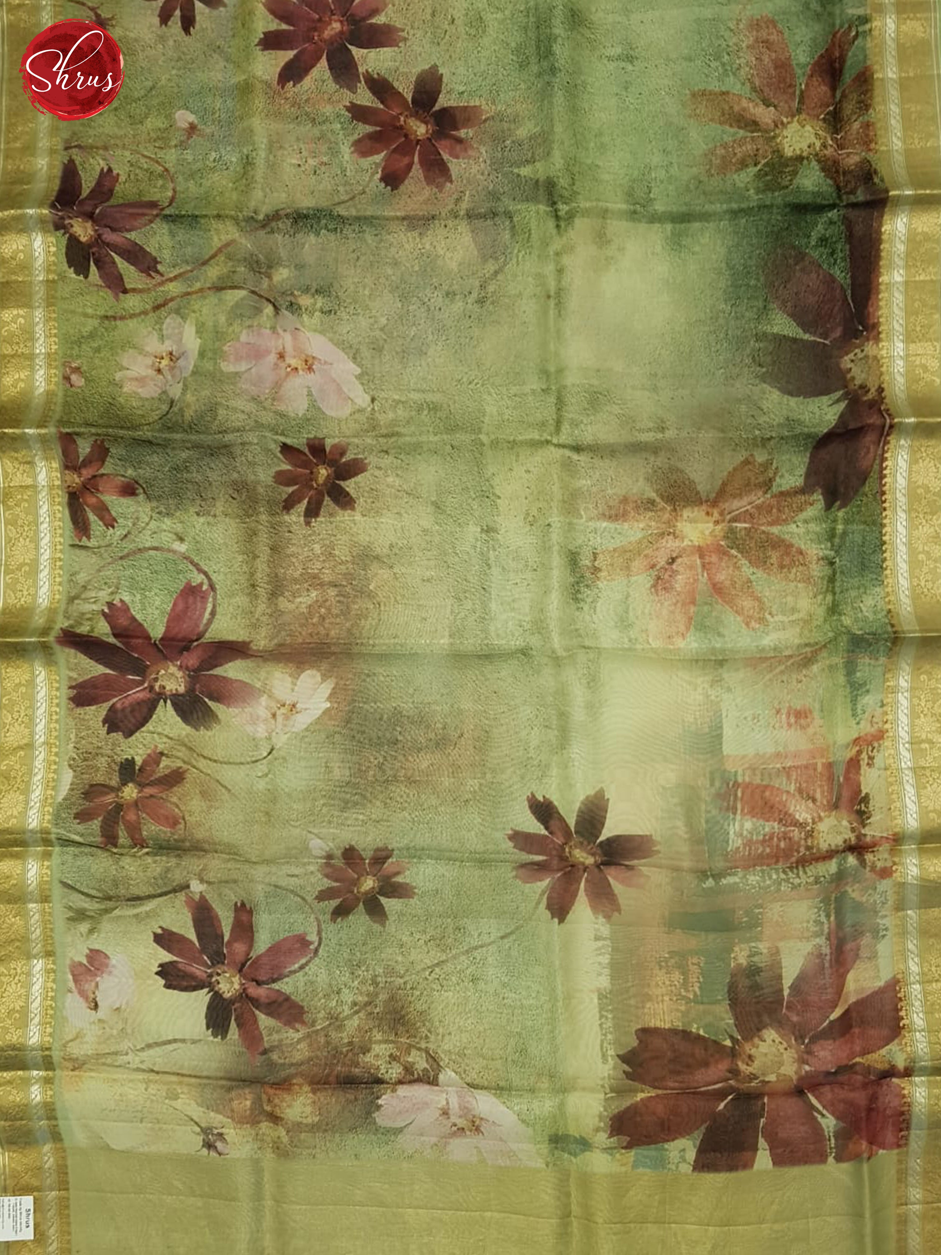 Green(Single Tone) - Organza Saree - Shop on ShrusEternity.com