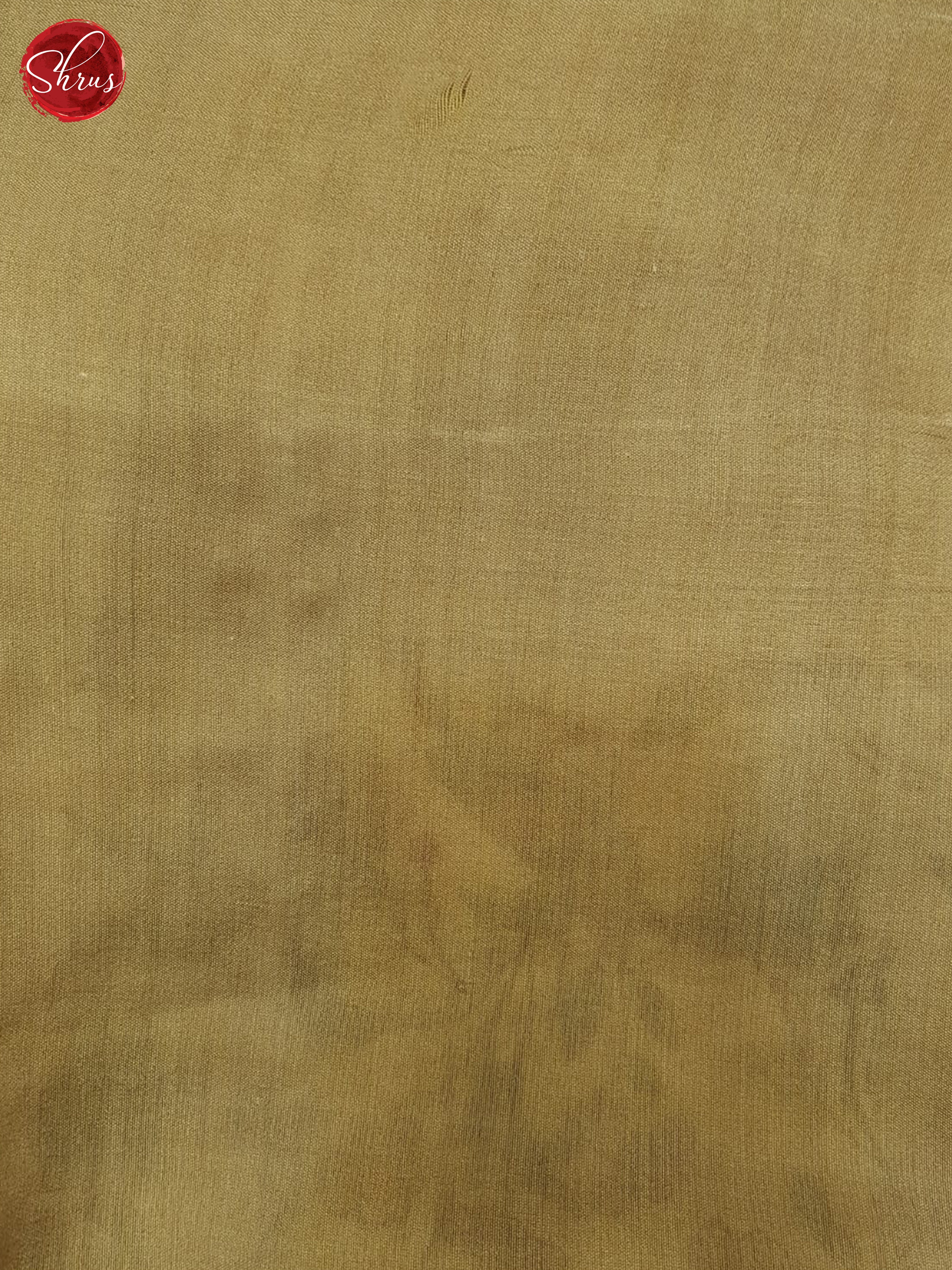 Cream & Beige - Organza Saree - Shop on ShrusEternity.com