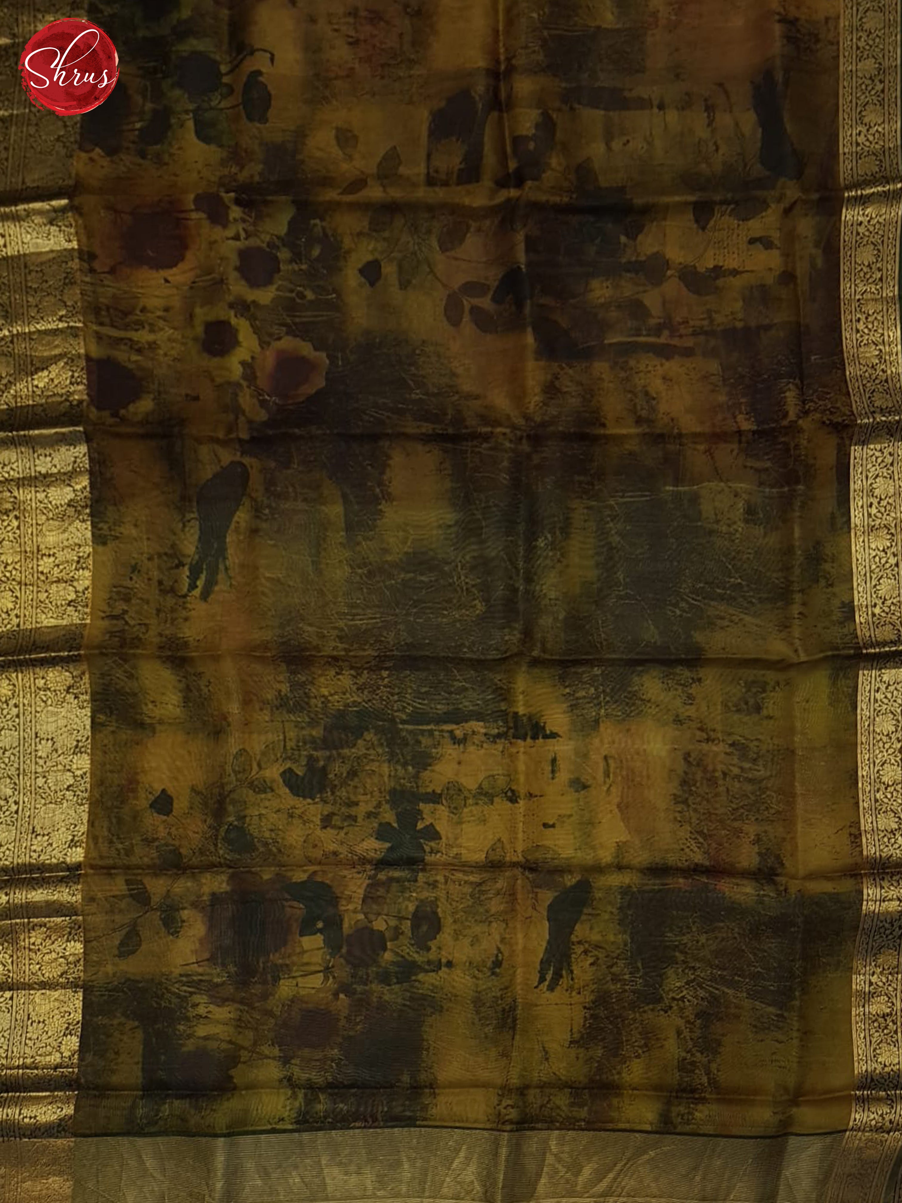 Brown & Green- Organza Saree - Shop on ShrusEternity.com