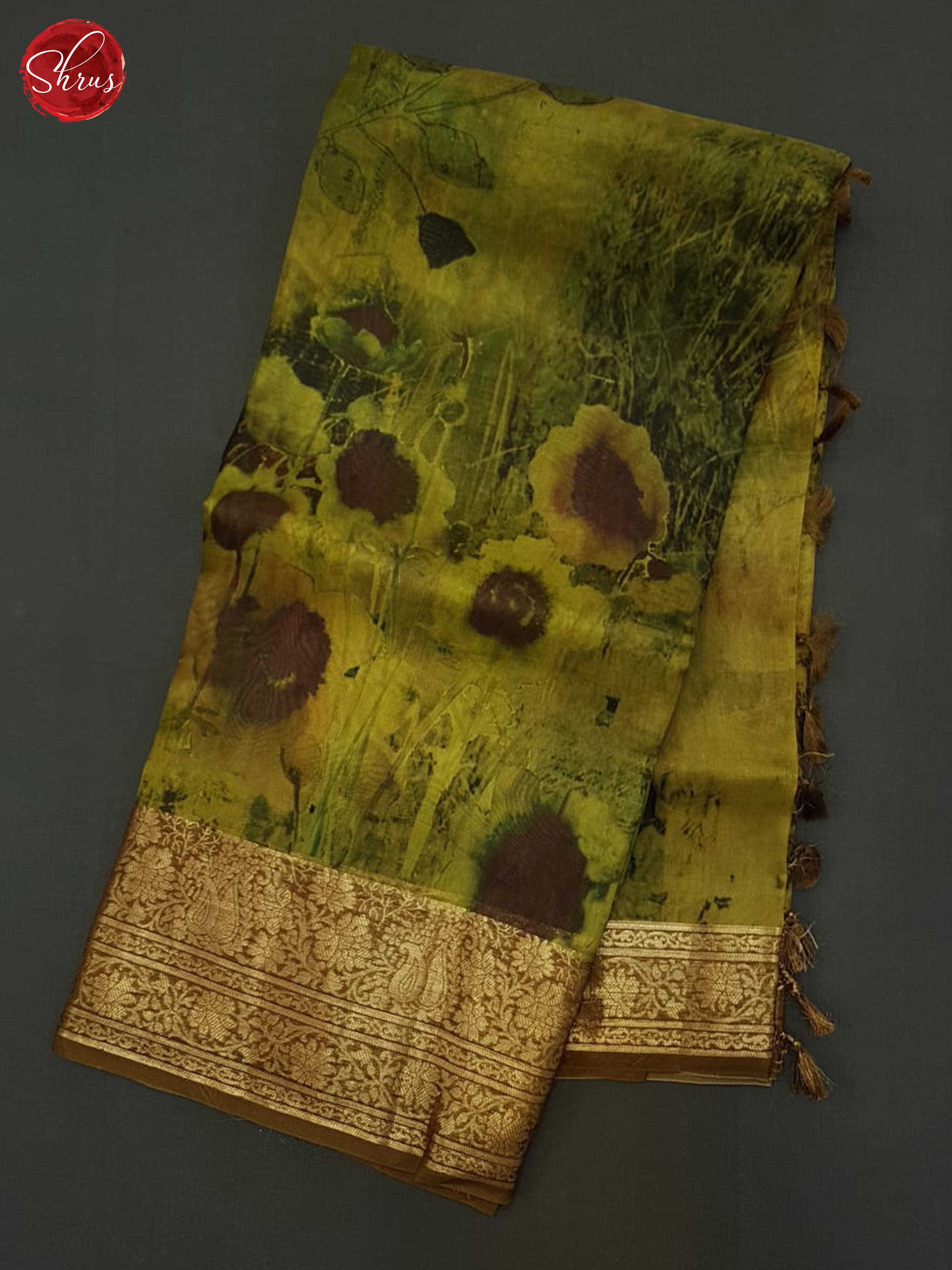 Green & Brown - Organza Saree - Shop on ShrusEternity.com