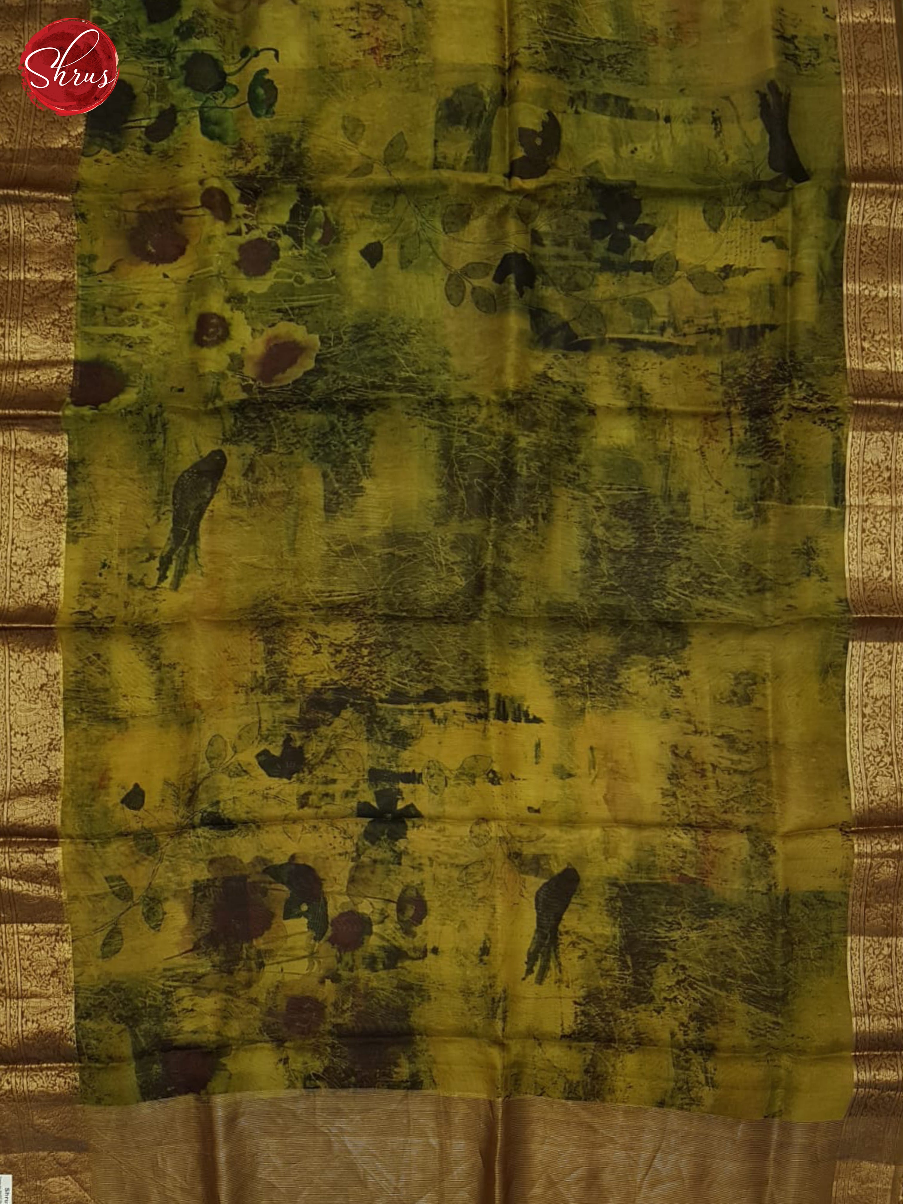 Green & Brown - Organza Saree - Shop on ShrusEternity.com