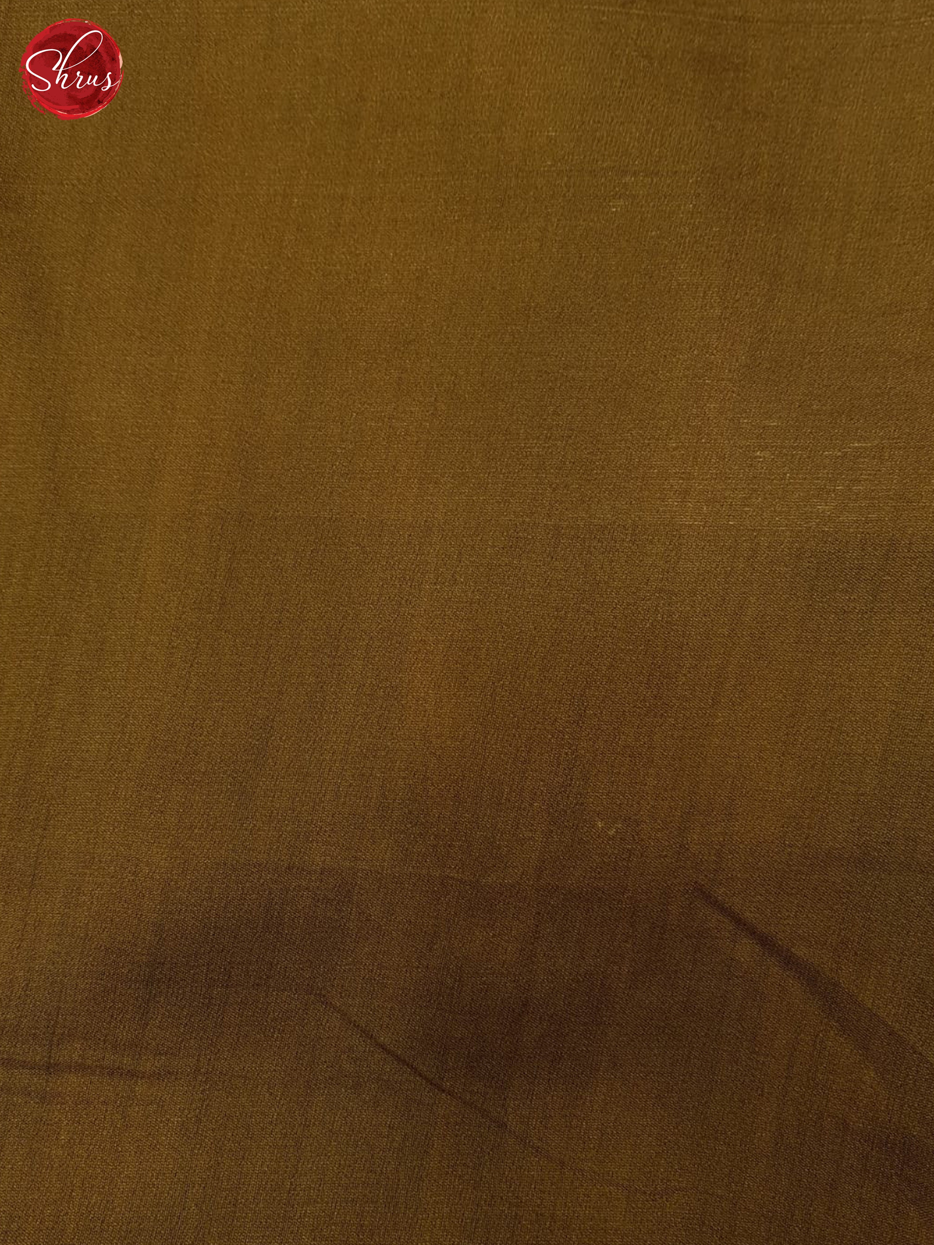 Green & Brown - Organza Saree - Shop on ShrusEternity.com