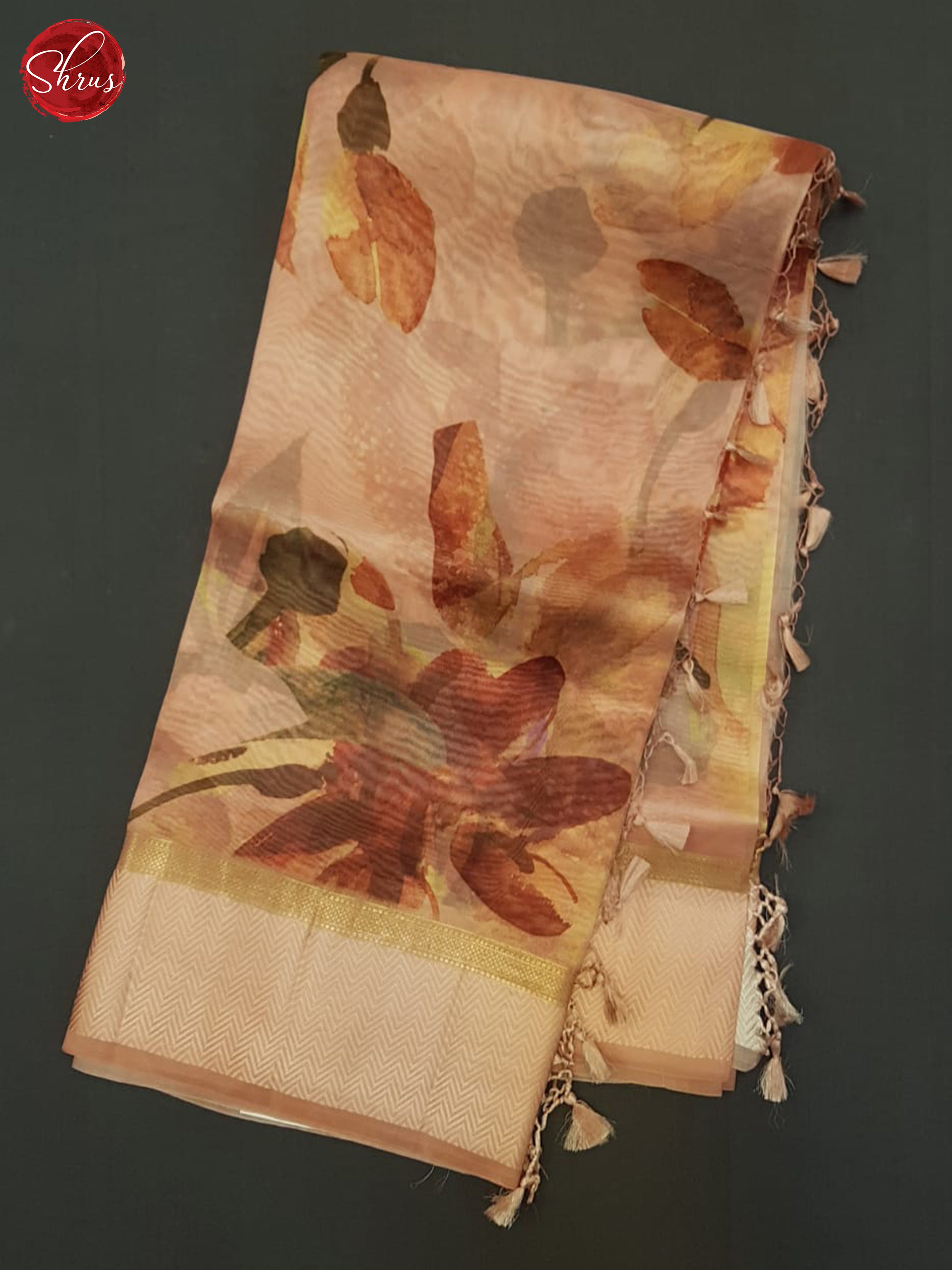 Peach(Single Tone) - Organza Saree - Shop on ShrusEternity.com