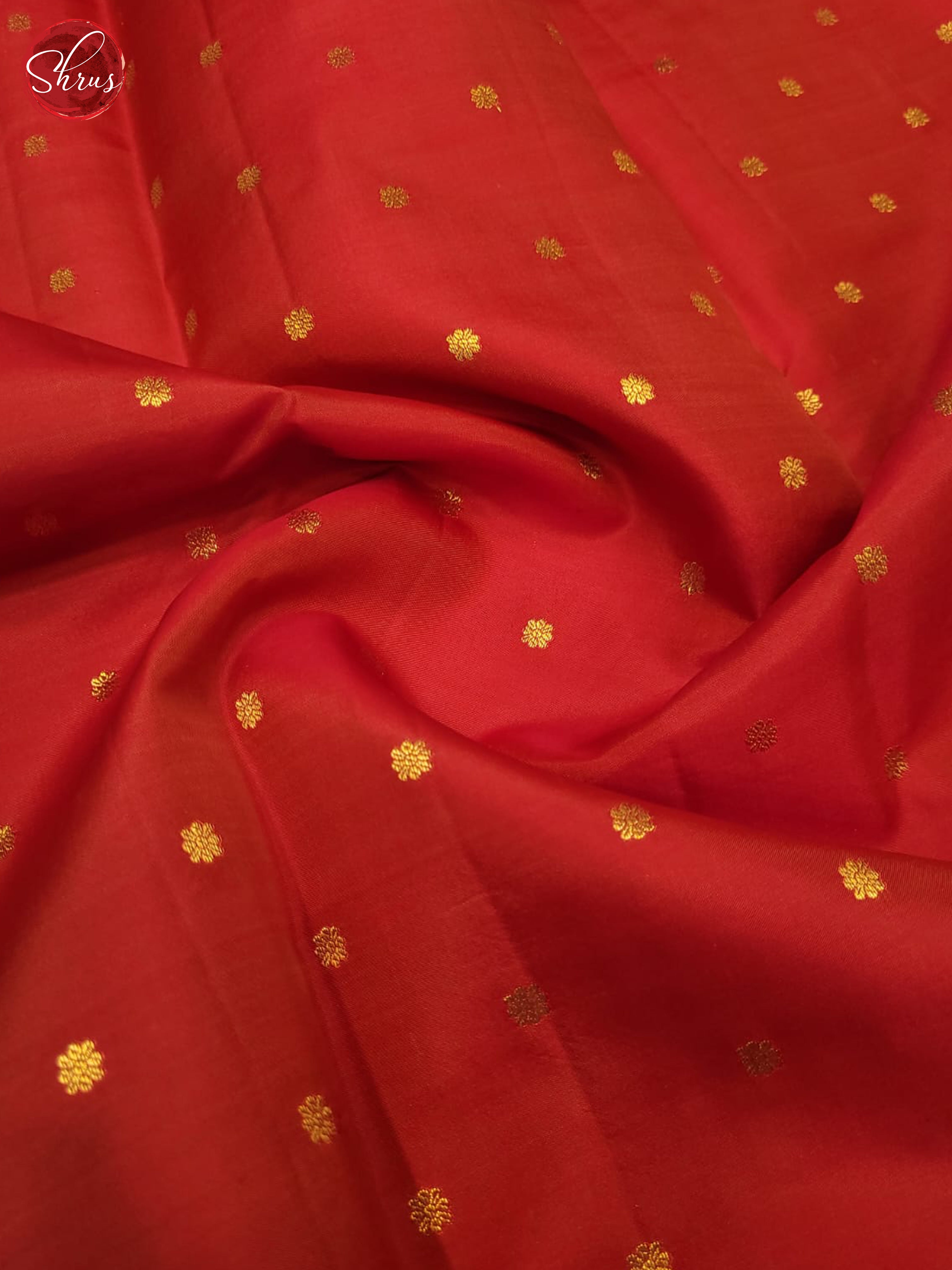 Red and Green Korvai Kanchipuram silk Saree With Golden Zari Woven Dot Buttas-5