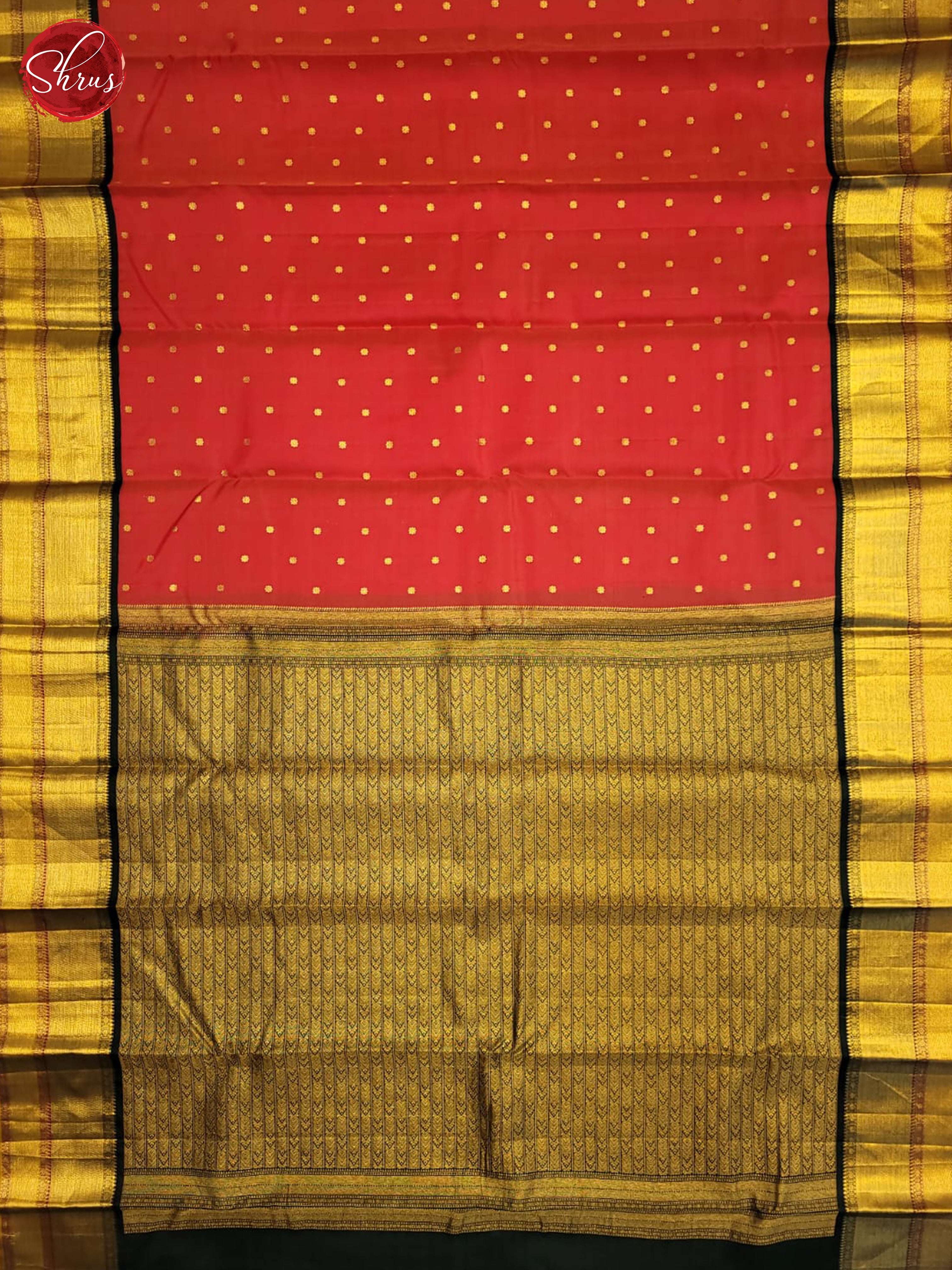 Red and Green Korvai Kanchipuram silk Saree With Golden Zari Woven Dot Buttas-3