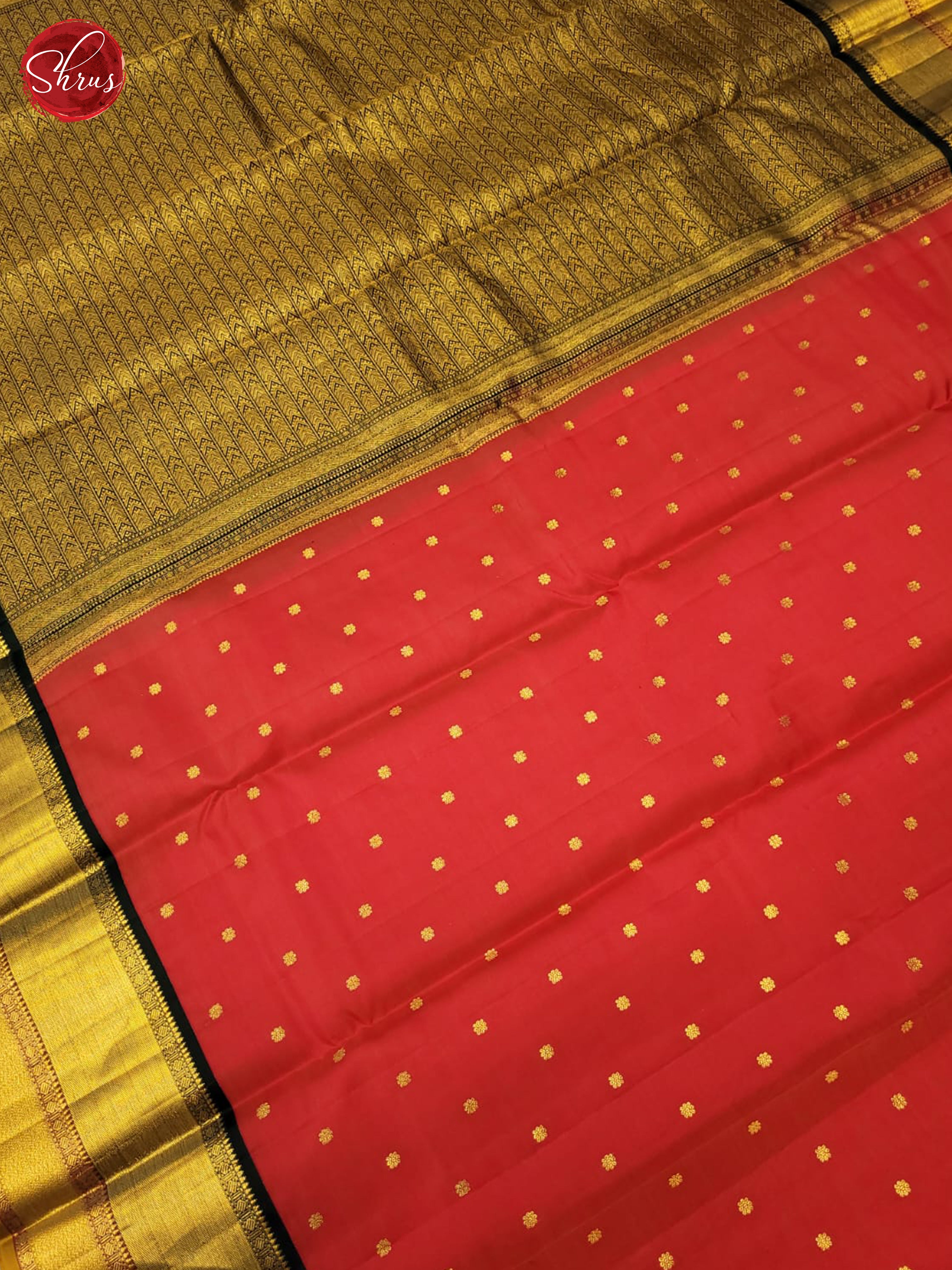 Red and Green Korvai Kanchipuram silk Saree With Golden Zari Woven Dot Buttas-4