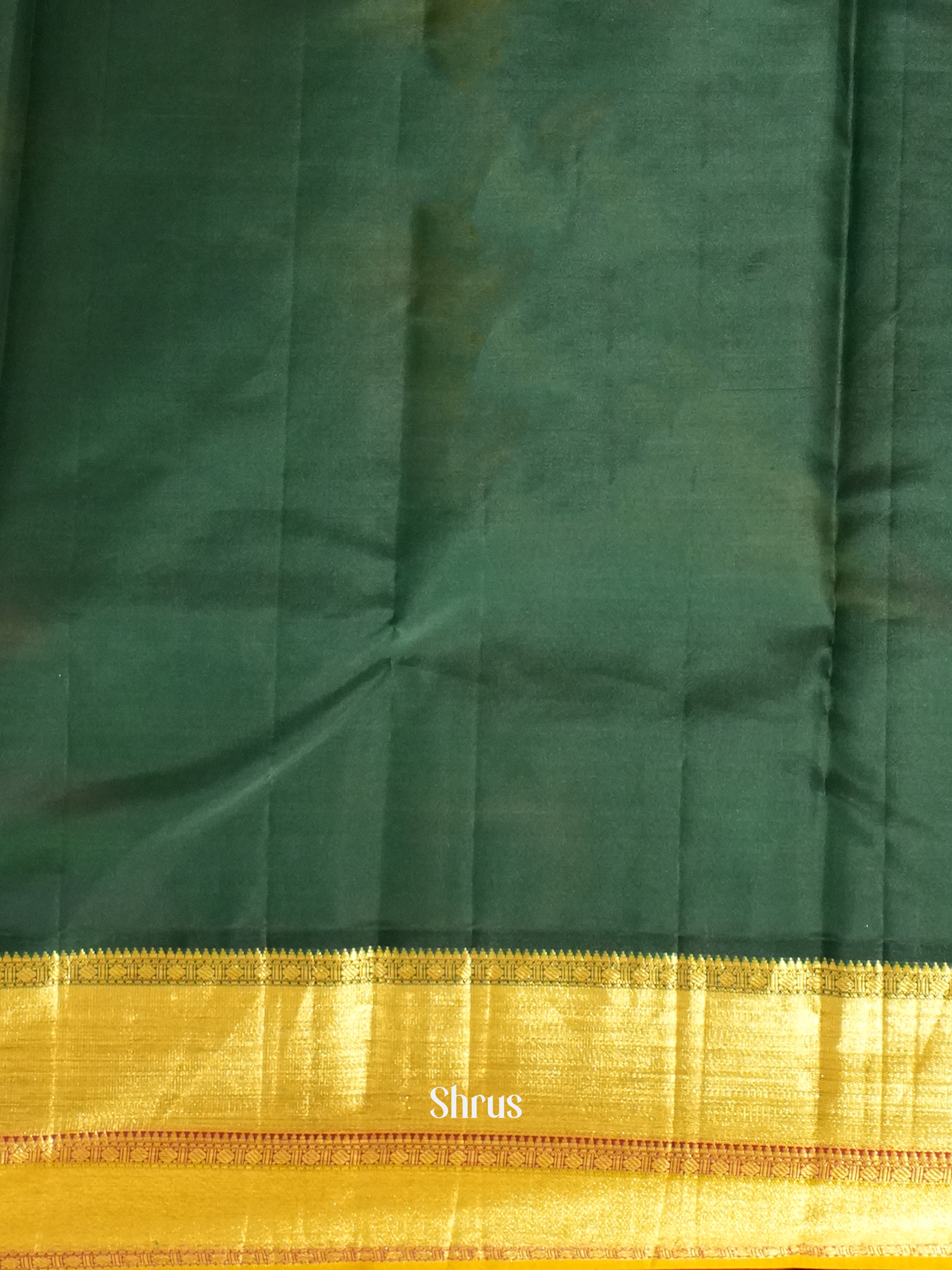 Red and Green Korvai Kanchipuram silk Saree With Golden Zari Woven Dot Buttas-6