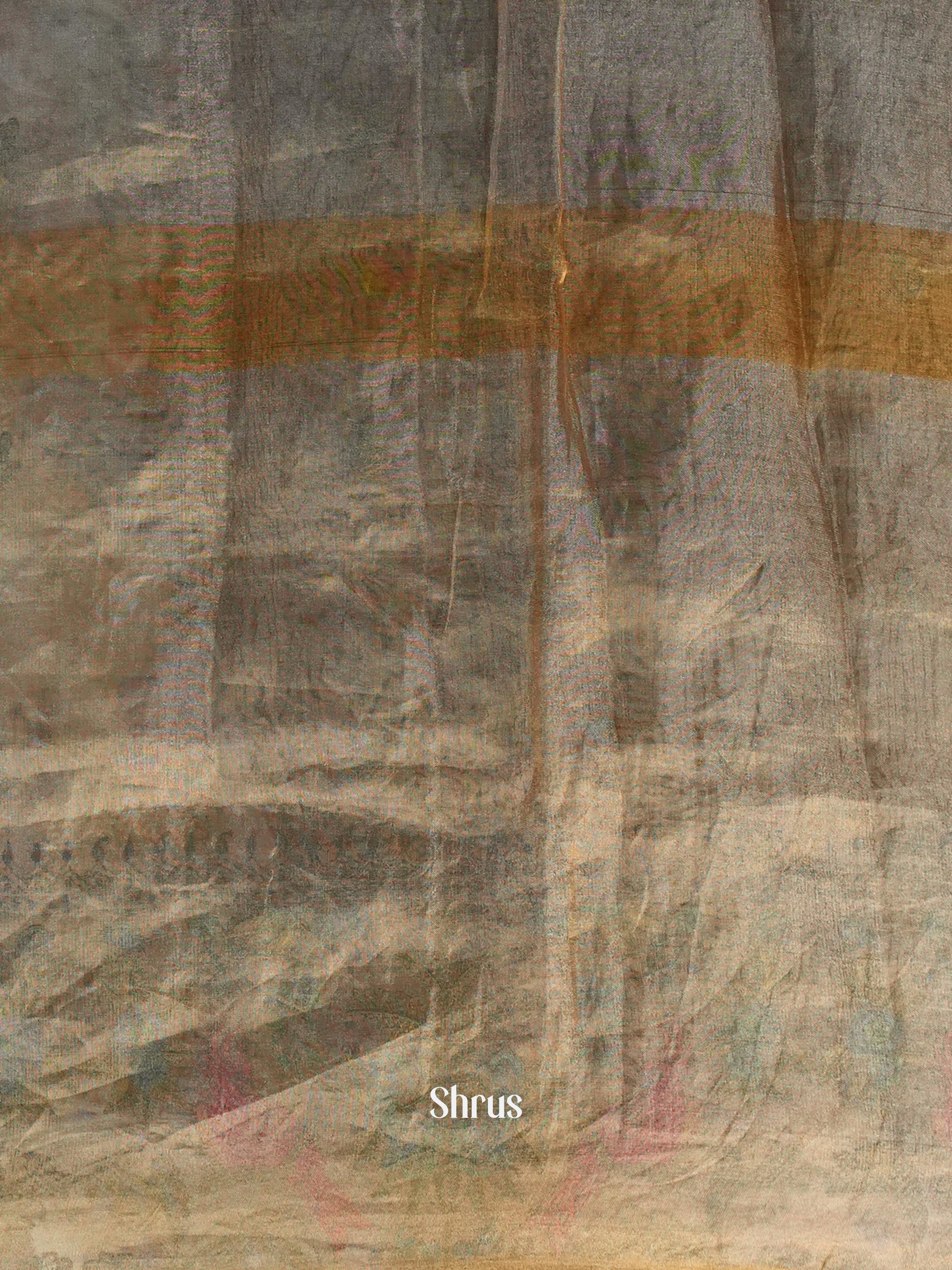 Beige(Single Tone)- Tissue Silk Saree - Shop on ShrusEternity.com