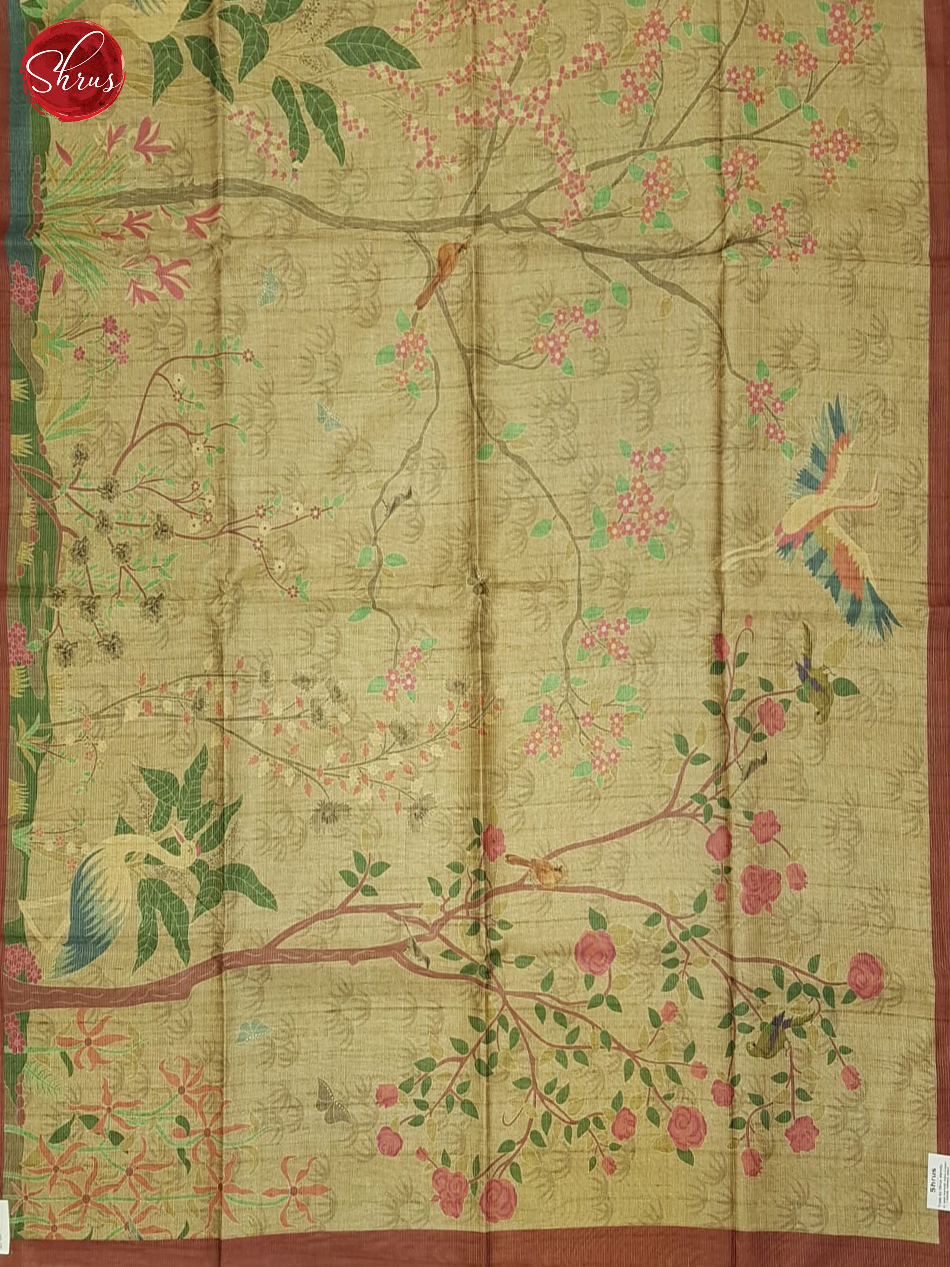 Beige & Brown- Semi Tussar Saree - Shop on ShrusEternity.com