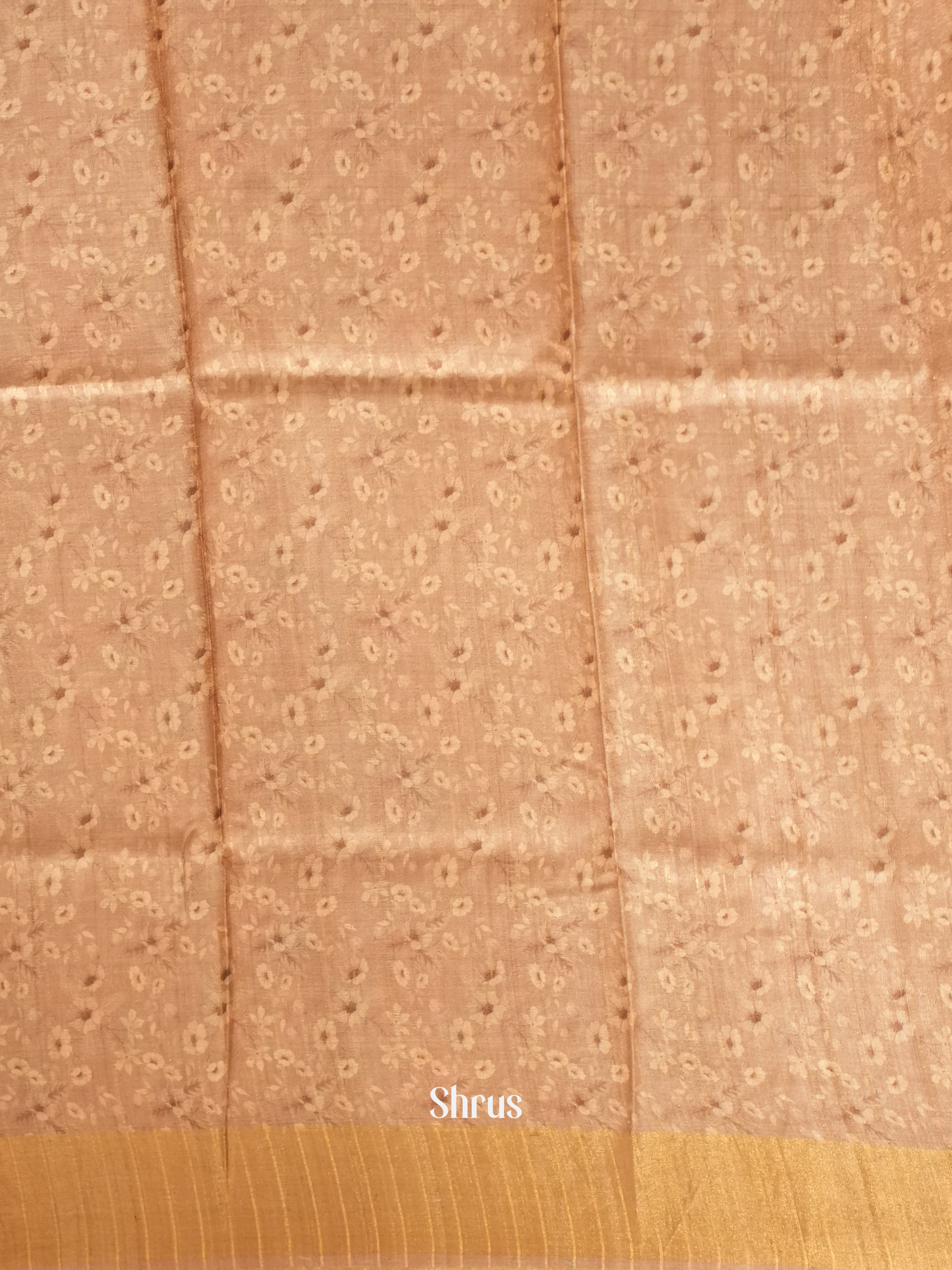 Brown(Single Tone) - Tussar Saree - Shop on ShrusEternity.com