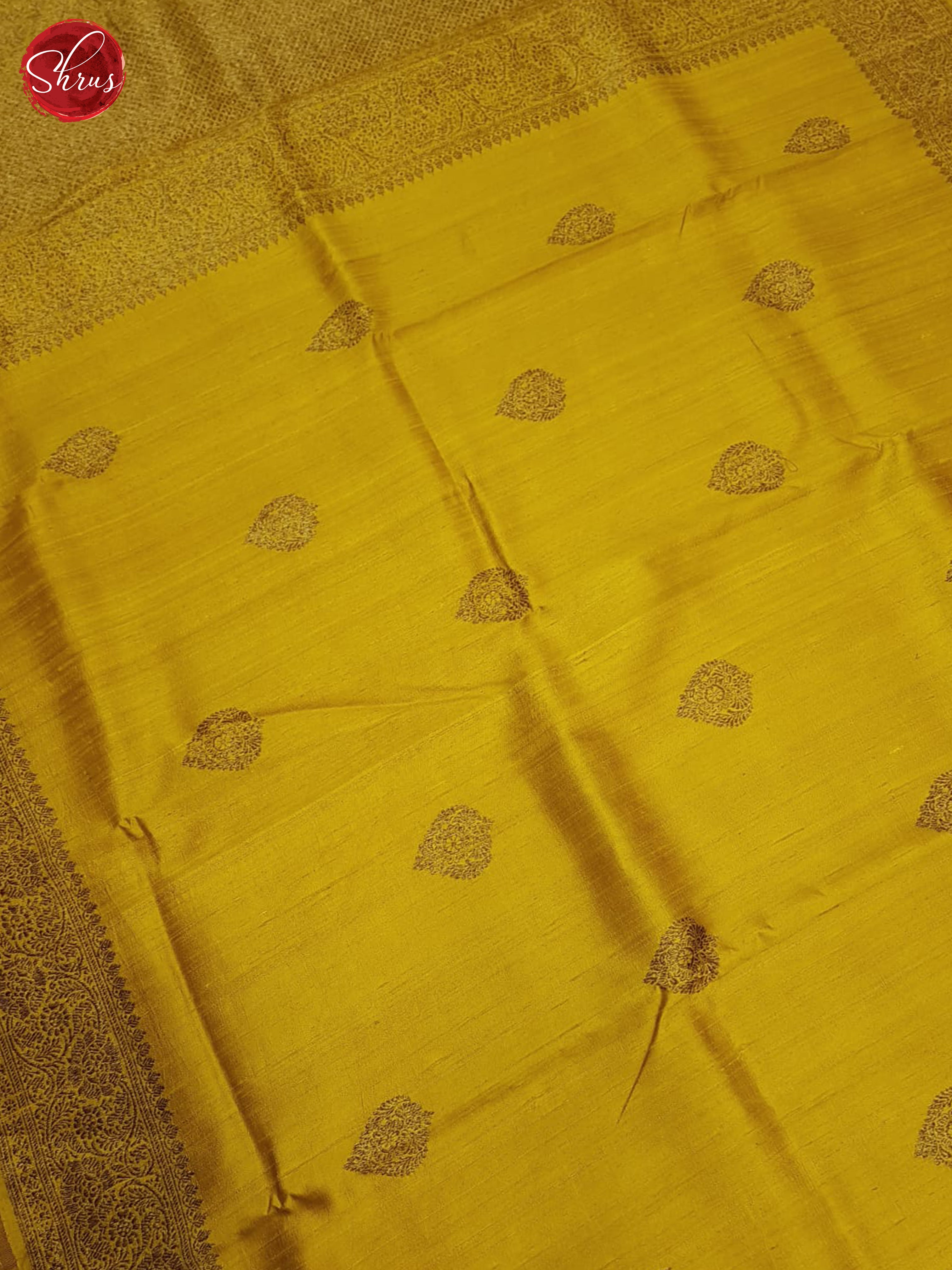 Mustard & Red - Dupion Saree - Shop on ShrusEternity.com