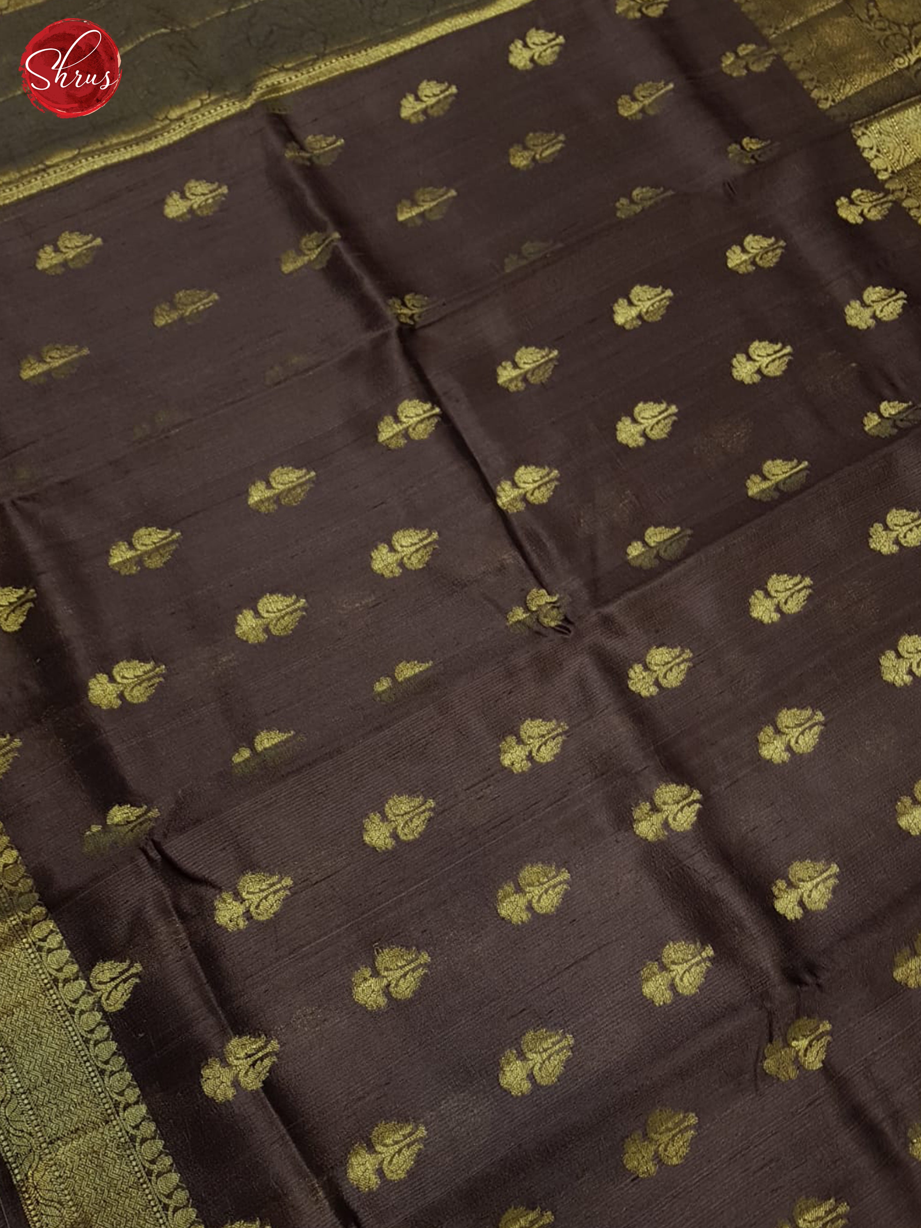 Brown(Single Tone) - Dupion Saree - Shop on ShrusEternity.com