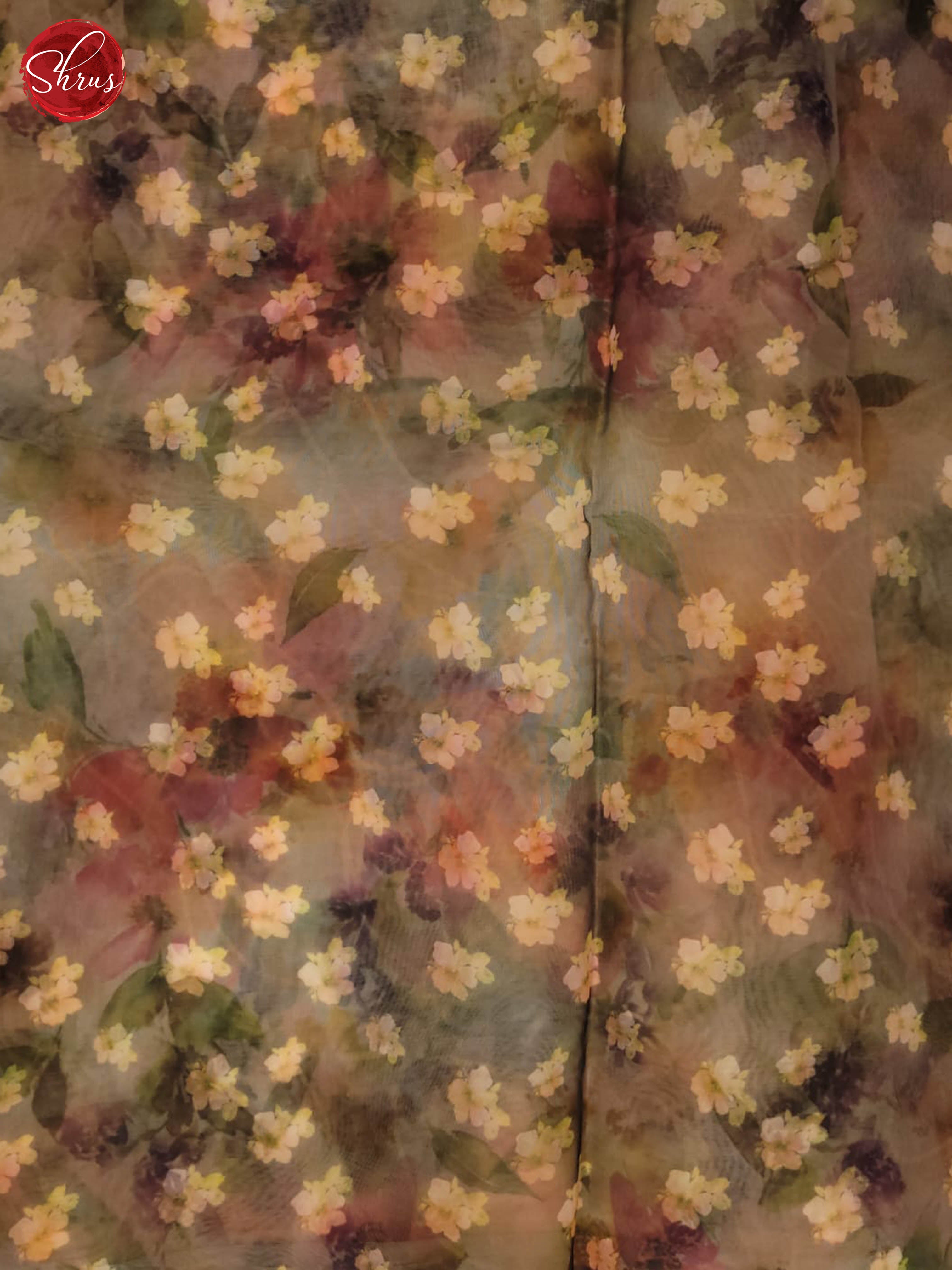 cream and black - Semi Organza saree - Shop on ShrusEternity.com