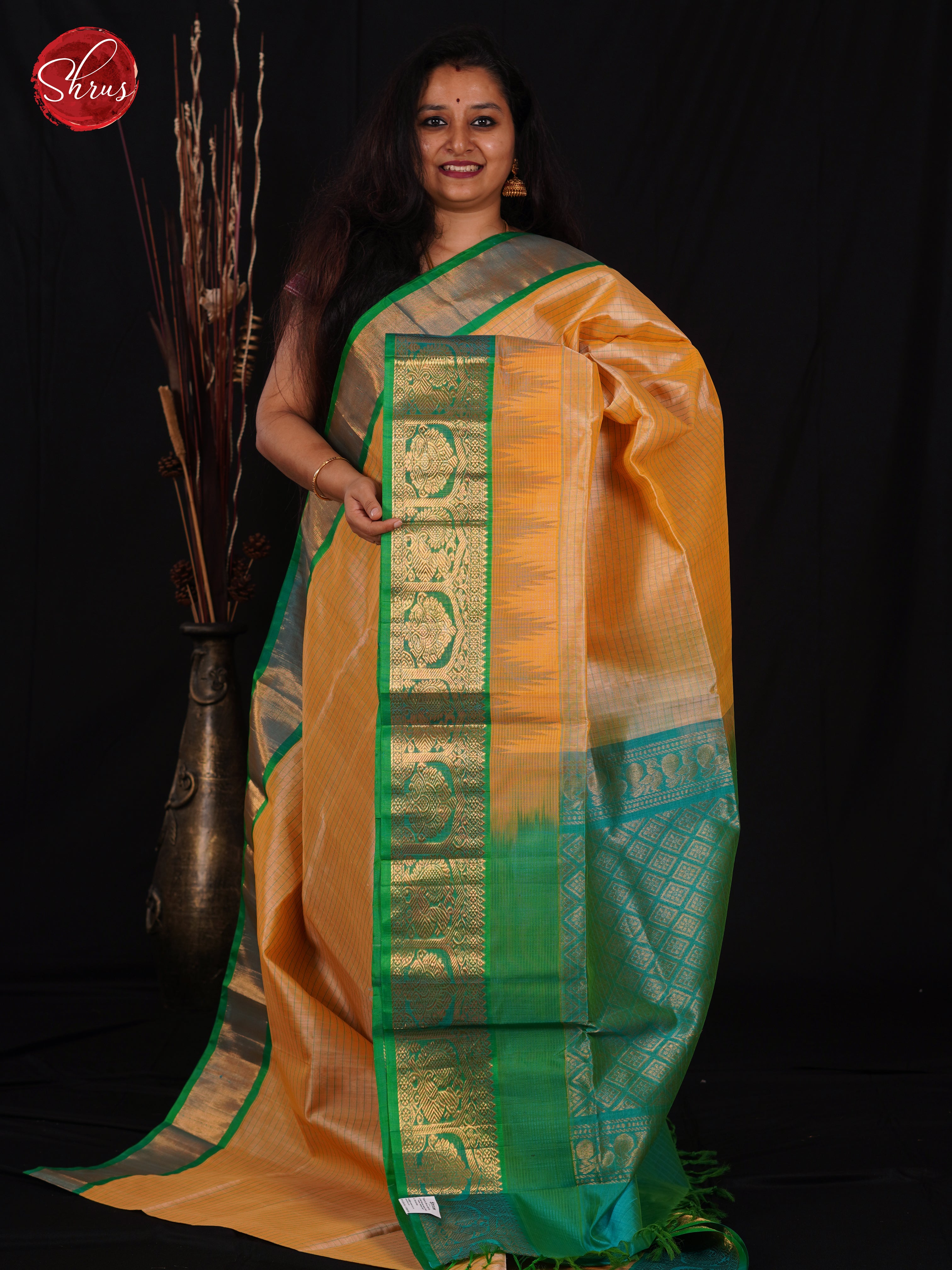 Beige & Blue - Silk Cotton Saree - Shop on ShrusEternity.com