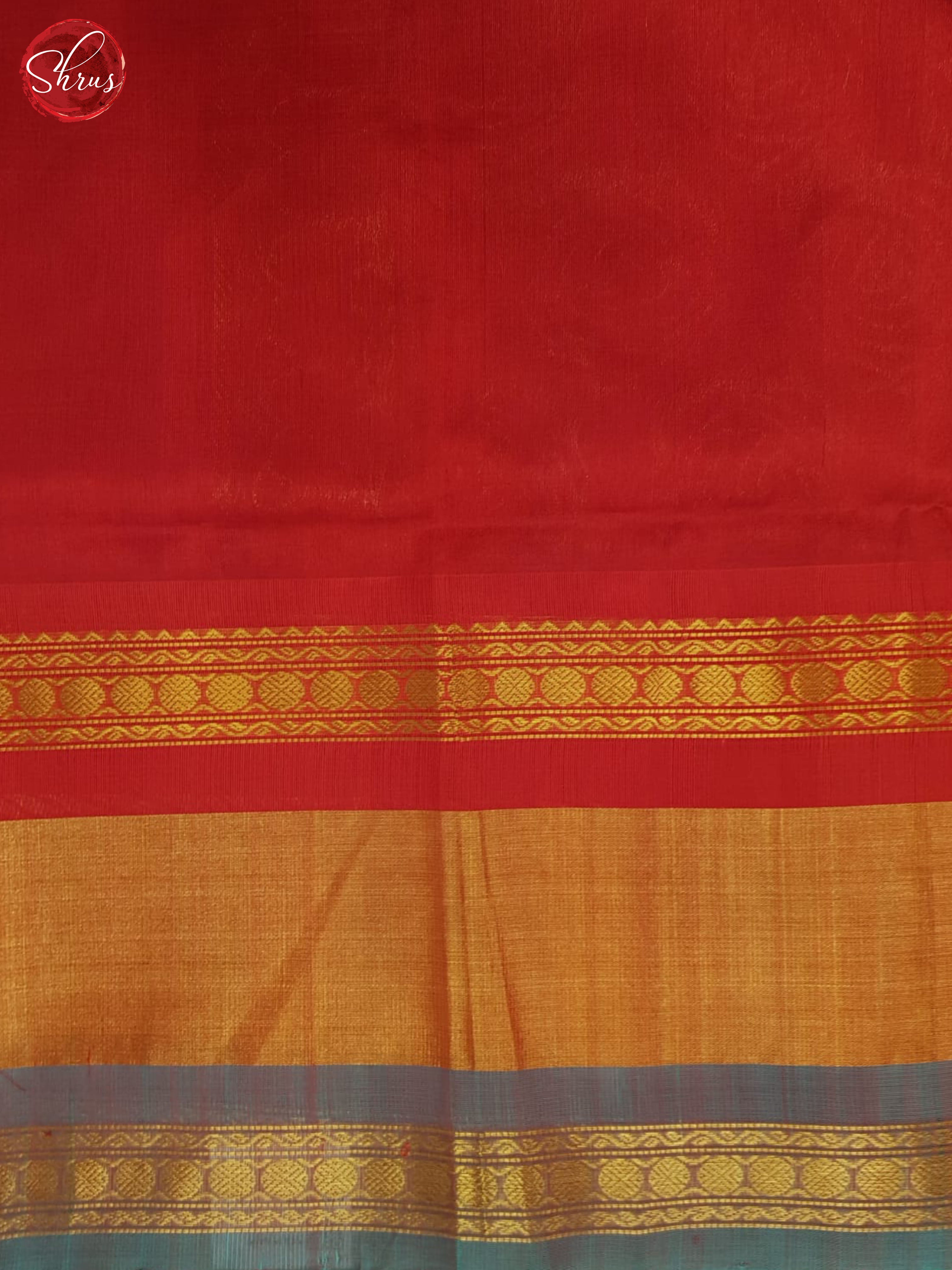BHS24185 - Silk Cotton Saree - Shop on ShrusEternity.com