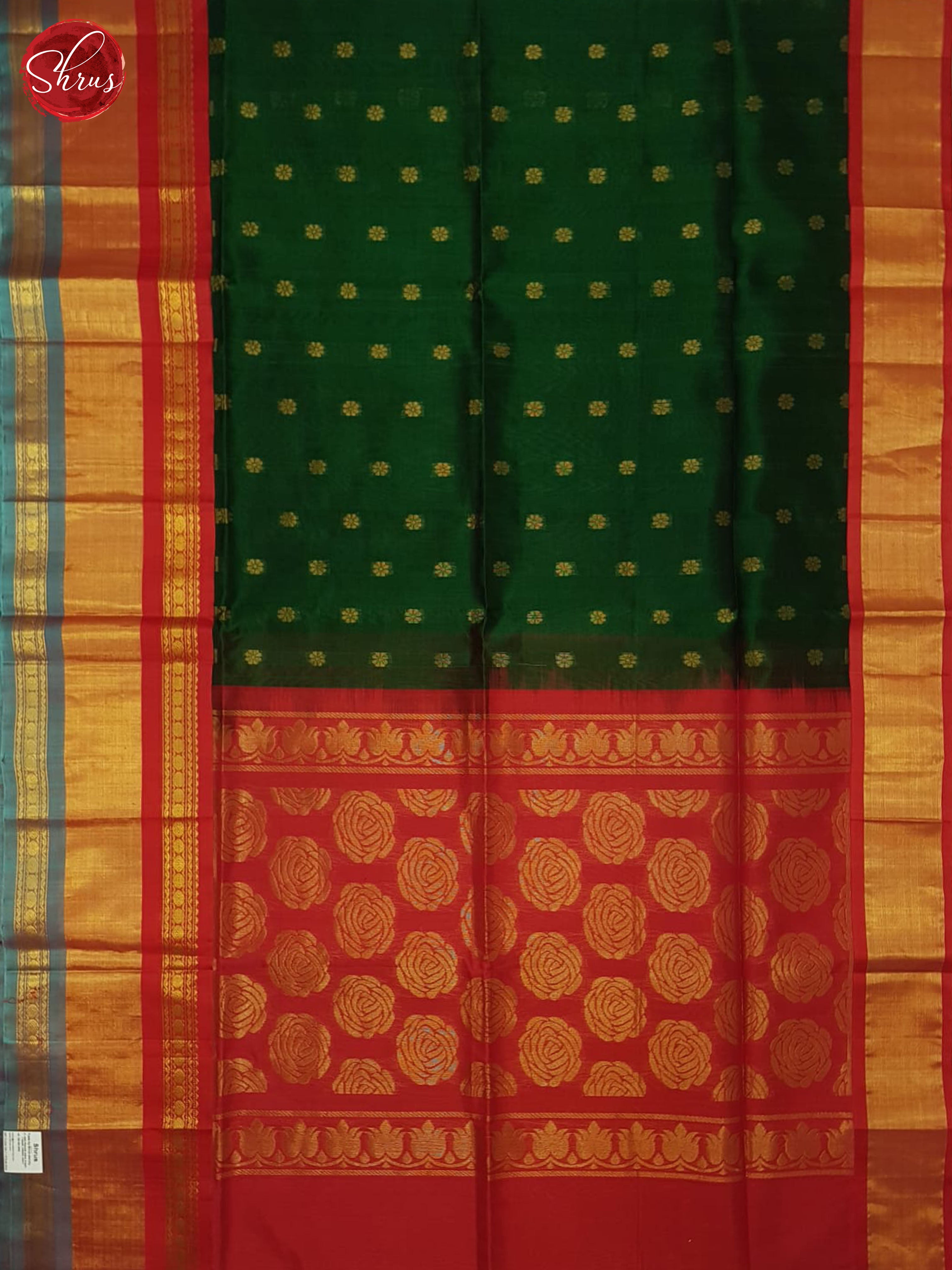 BHS24185 - Silk Cotton Saree - Shop on ShrusEternity.com