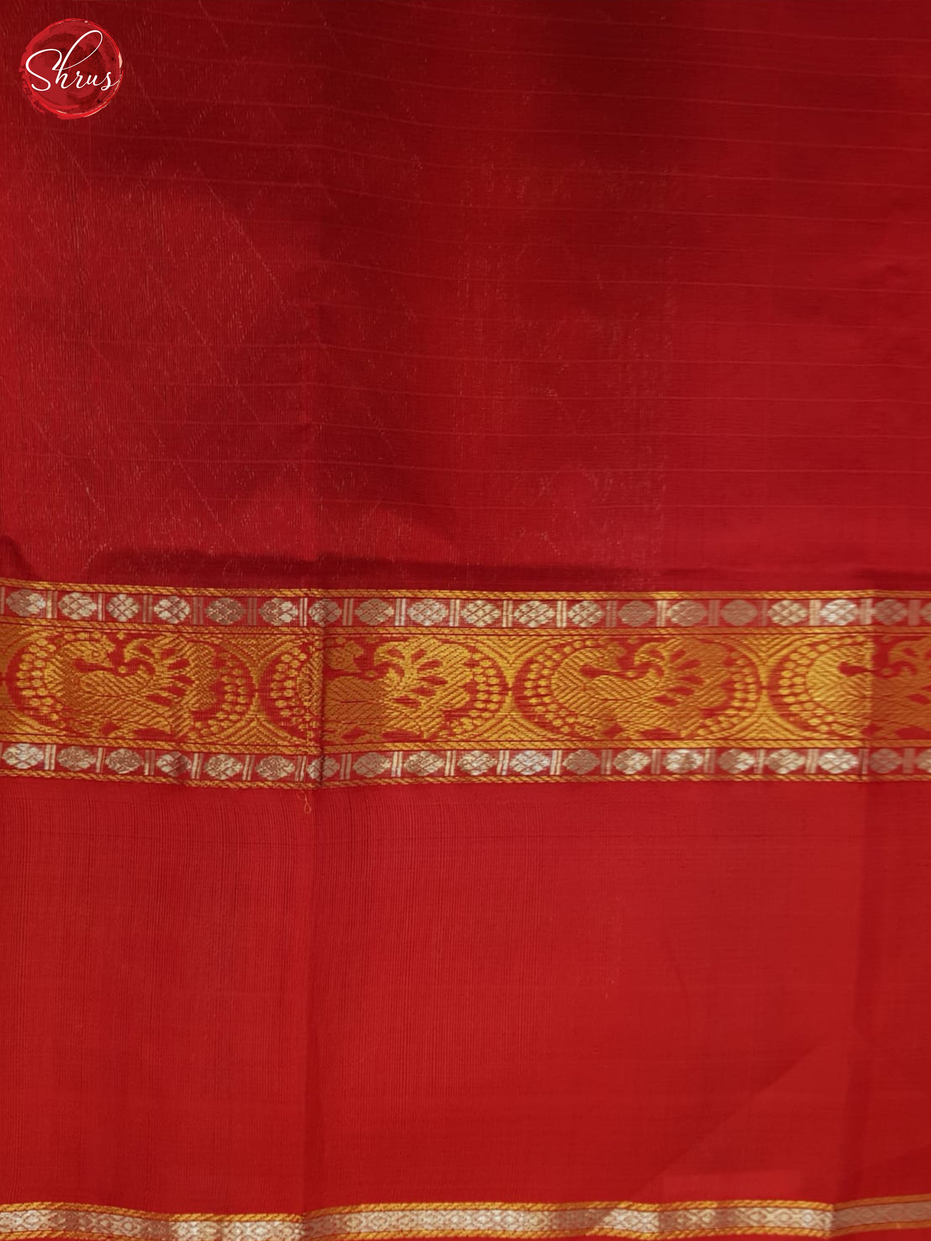 BHS24241 - Silk Cotton Saree - Shop on ShrusEternity.com