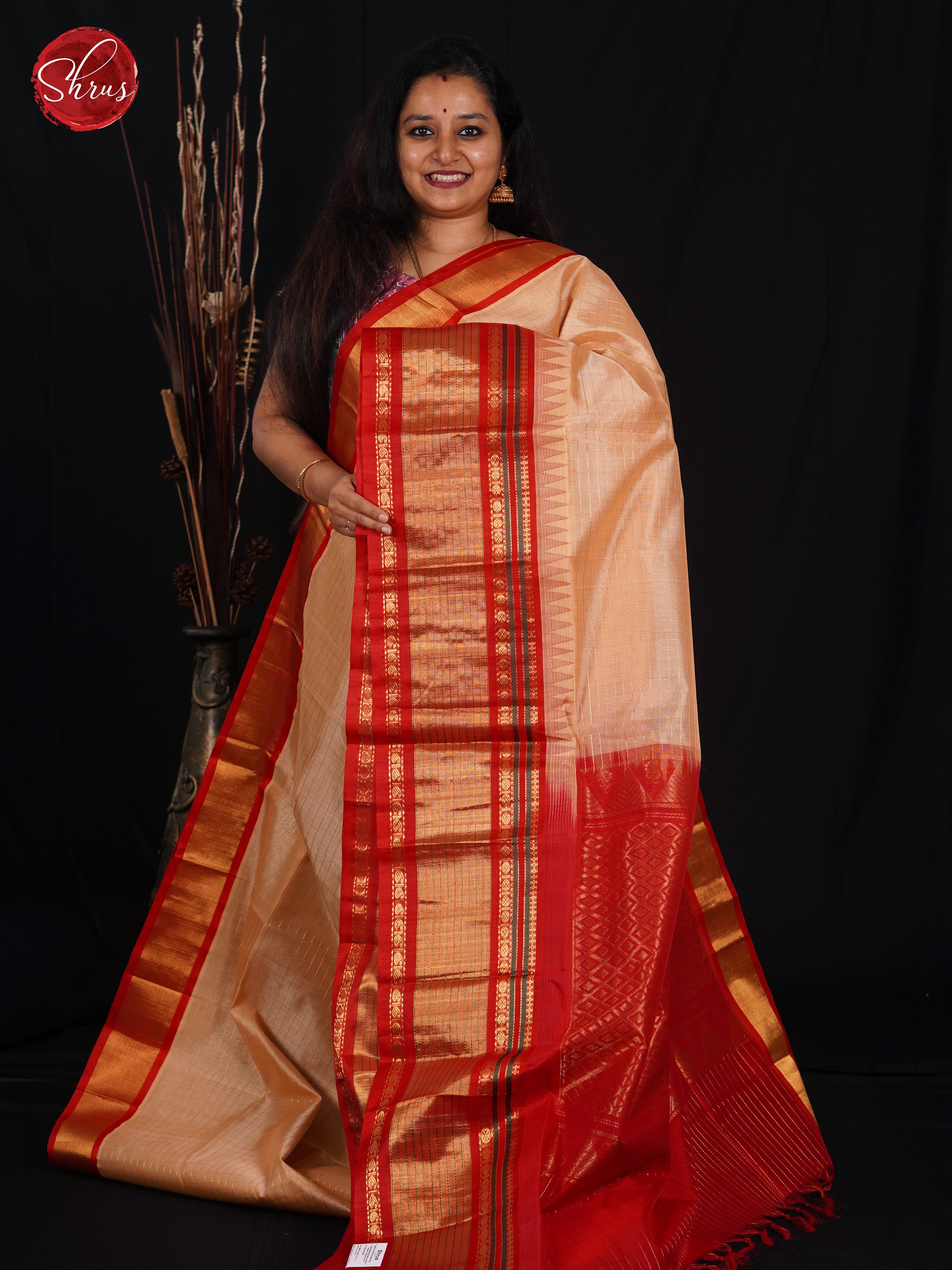 Light Brown & Red - Silk Cotton Saree - Shop on ShrusEternity.com
