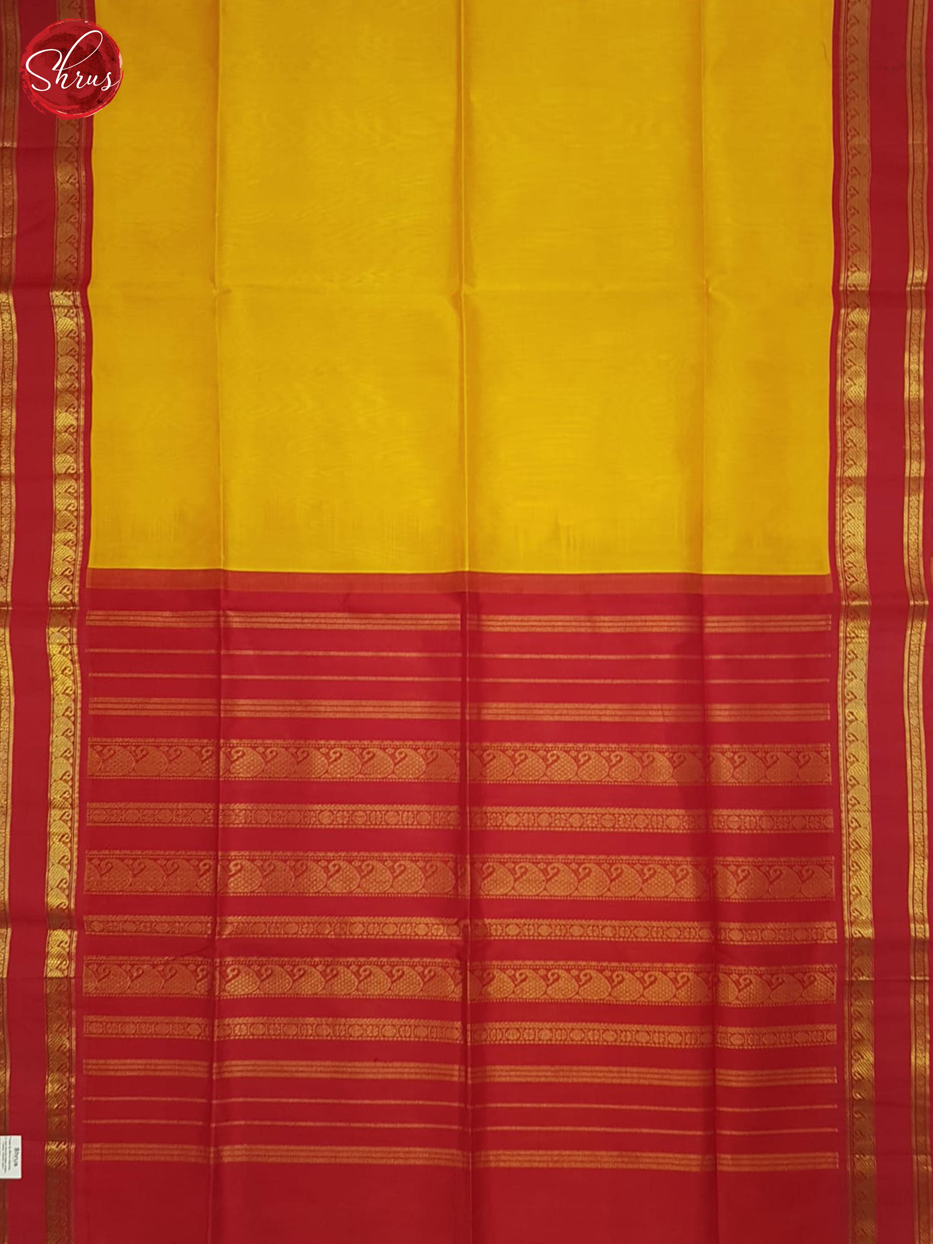 BHS25259 - Silk Cotton Saree - Shop on ShrusEternity.com