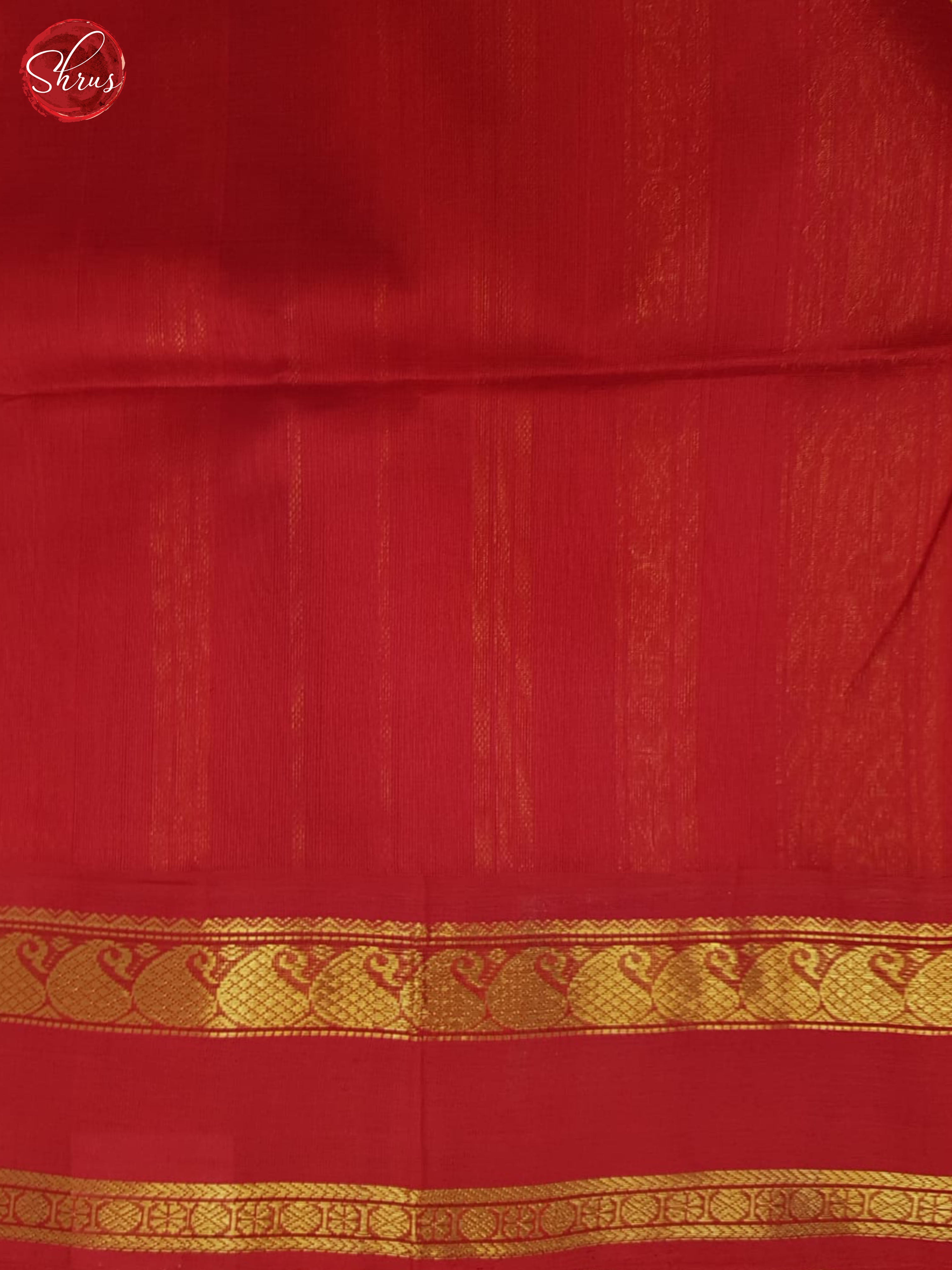 BHS25259 - Silk Cotton Saree - Shop on ShrusEternity.com