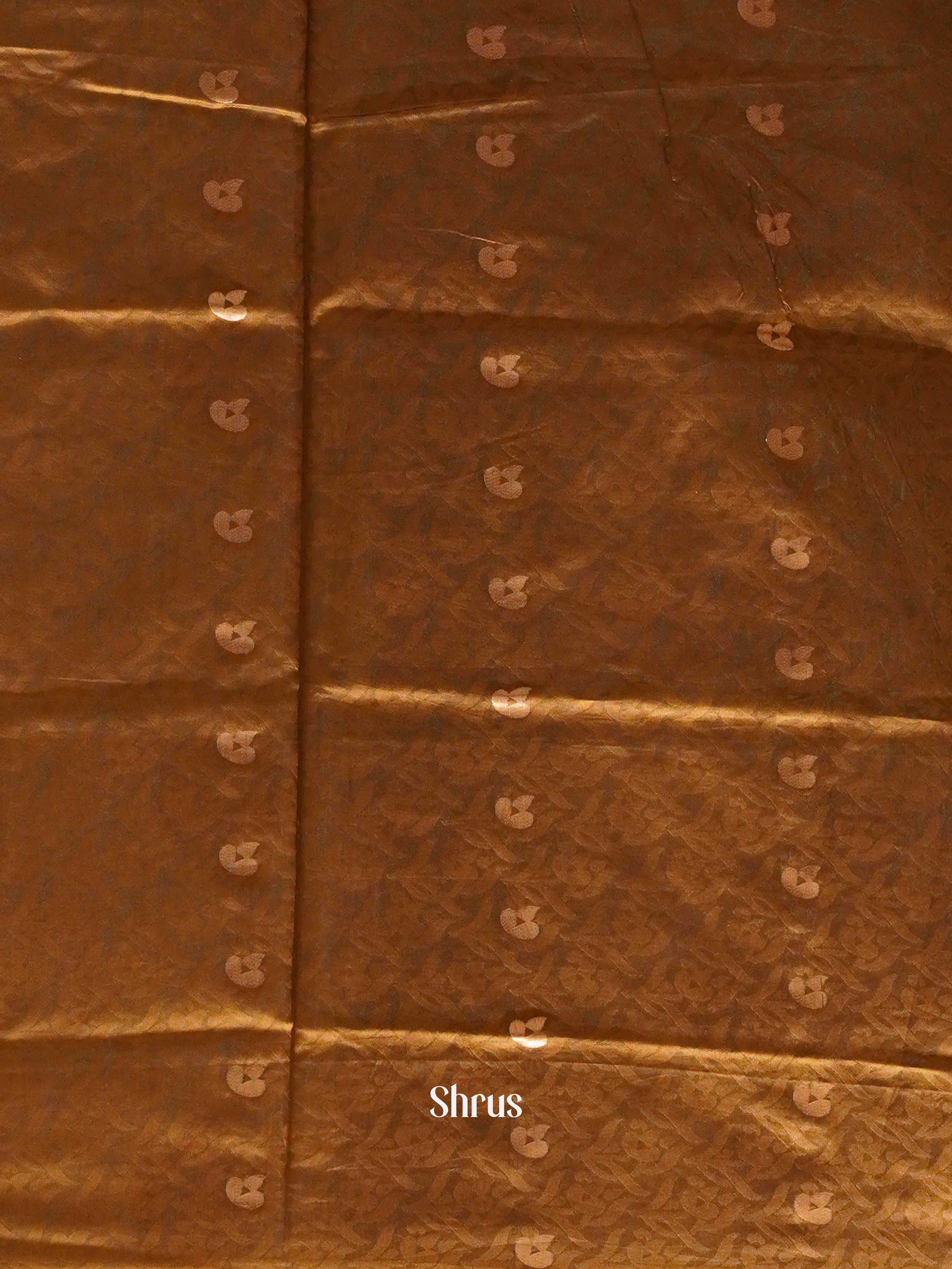 Grey & Brown- Semi Softsilk Saree - Shop on ShrusEternity.com