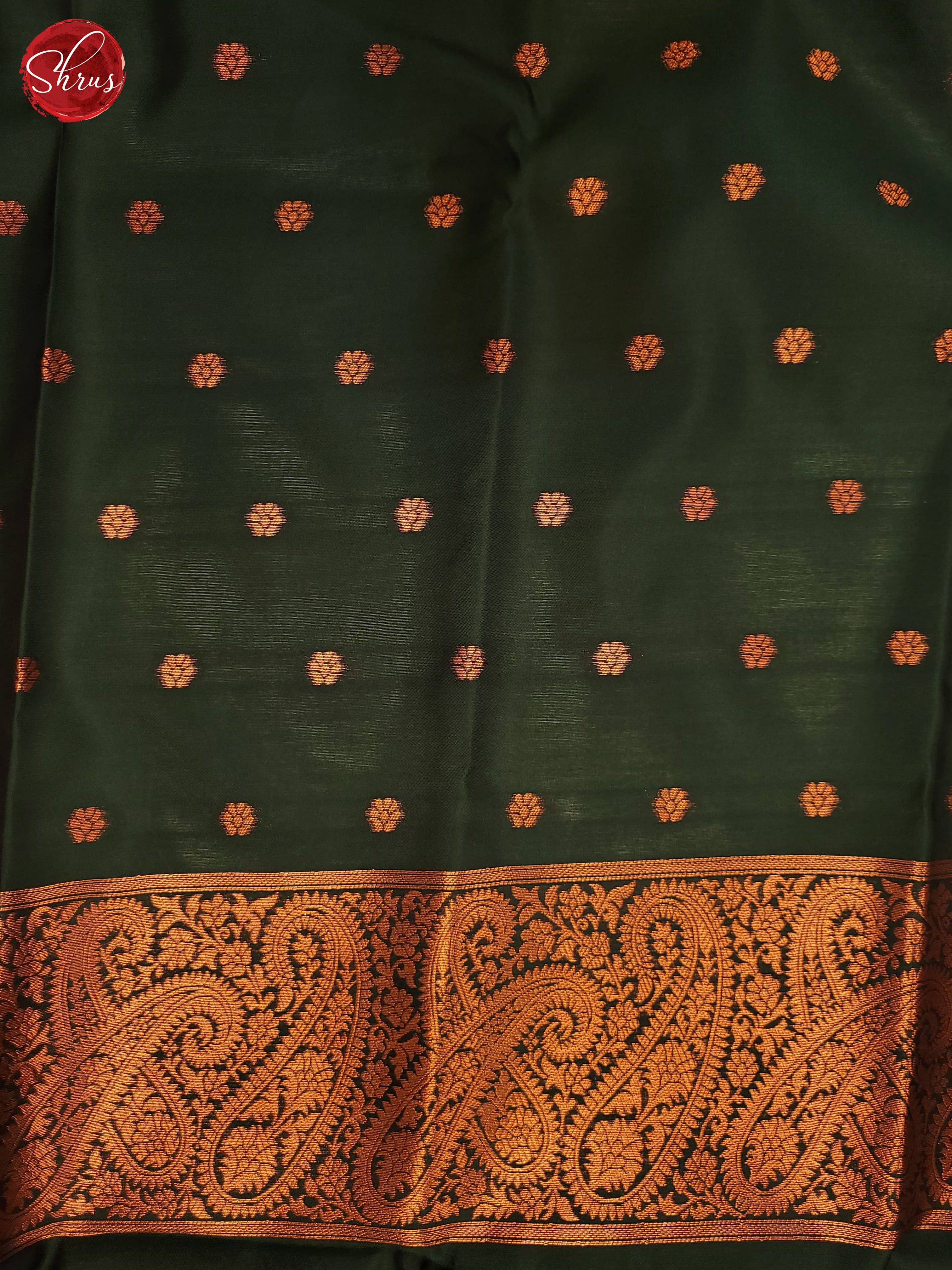 Blue , Pink , Green - Semi Softsilk Saree - Shop on ShrusEternity.com
