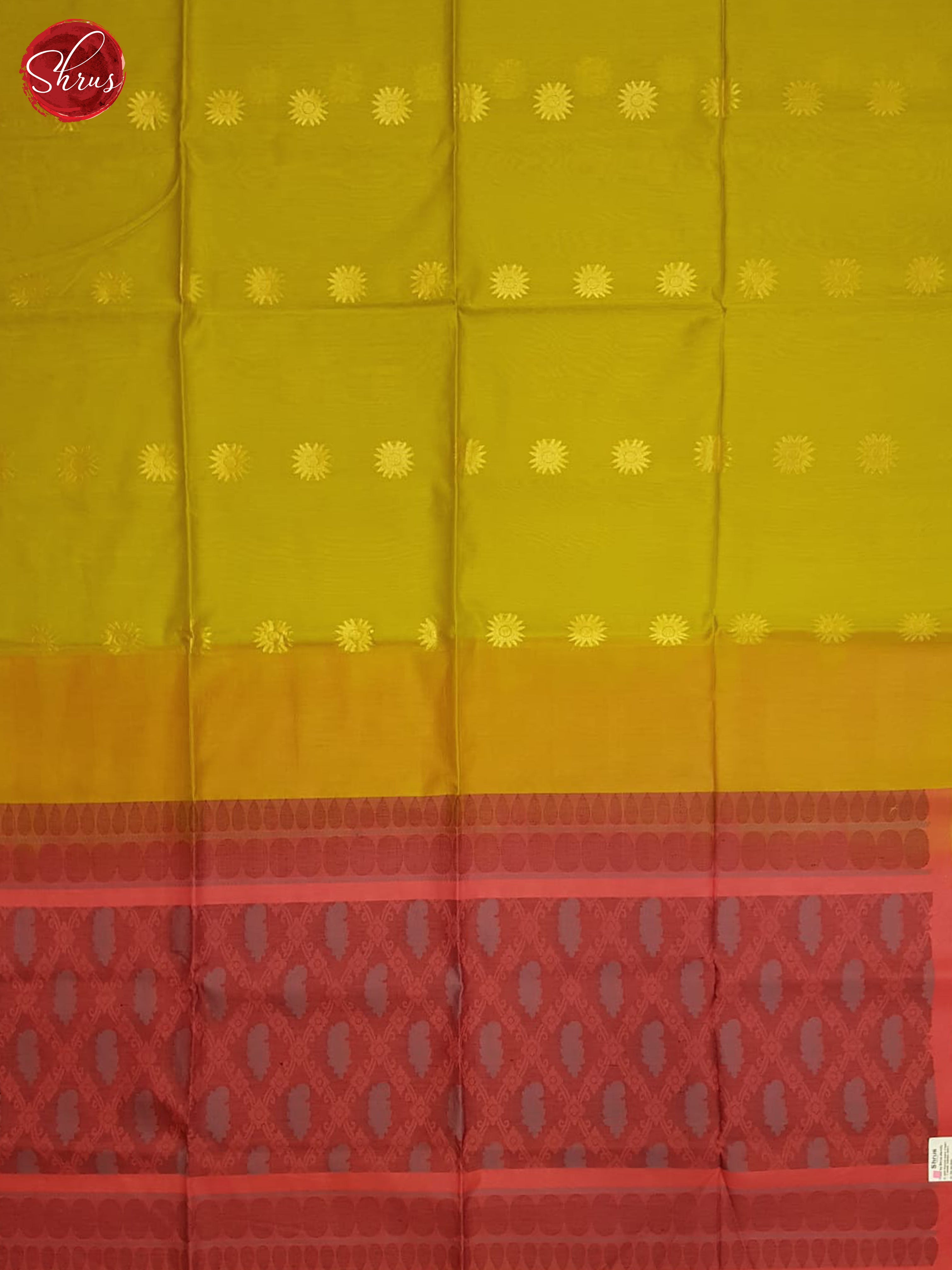 Green And Pink - Shop on ShrusEternity.com